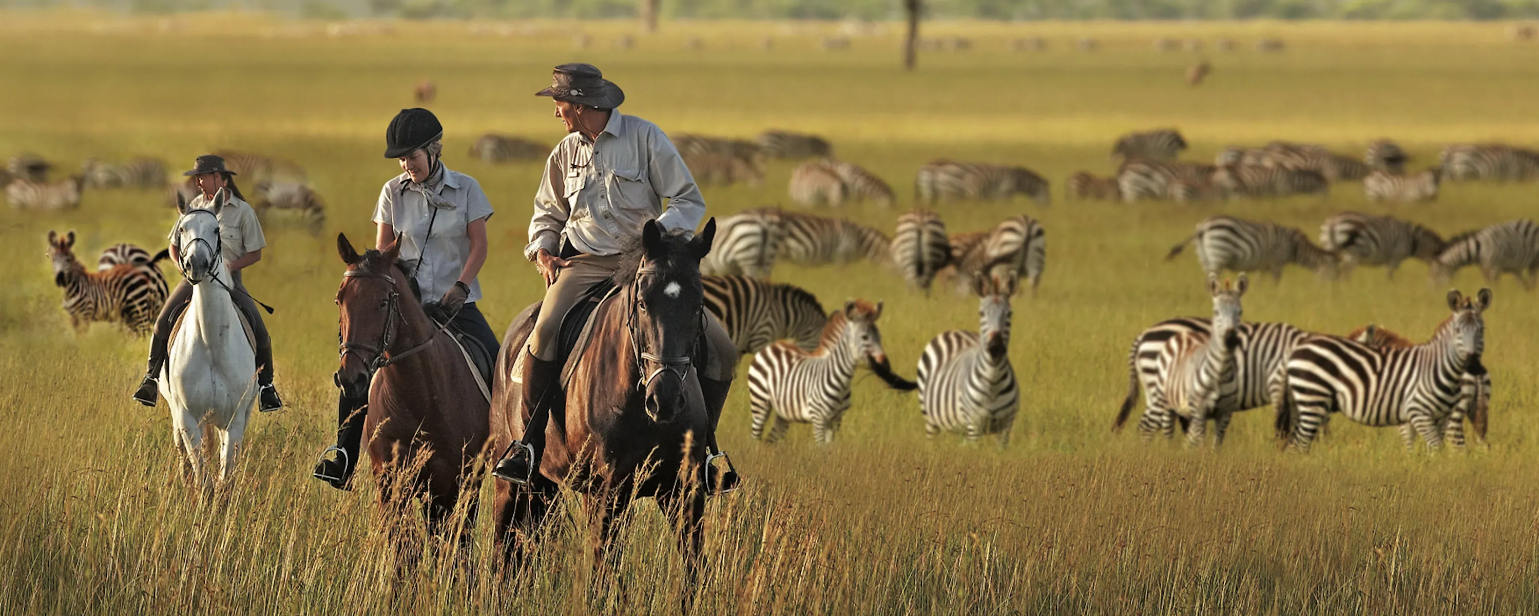 Riders on horseback move among zebra on open grassland in the Serengeti, backed by a stormy evening sky at dusk.