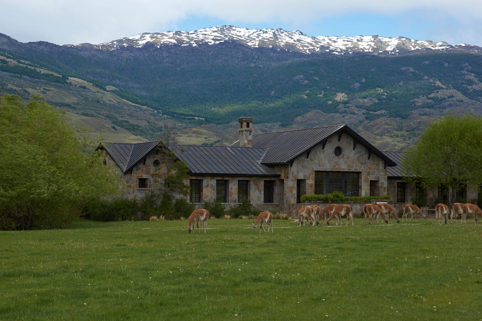 Guanacos grazing beside a stone lodge in open grassland against the backdrop of Chile's Patagonia National Park.