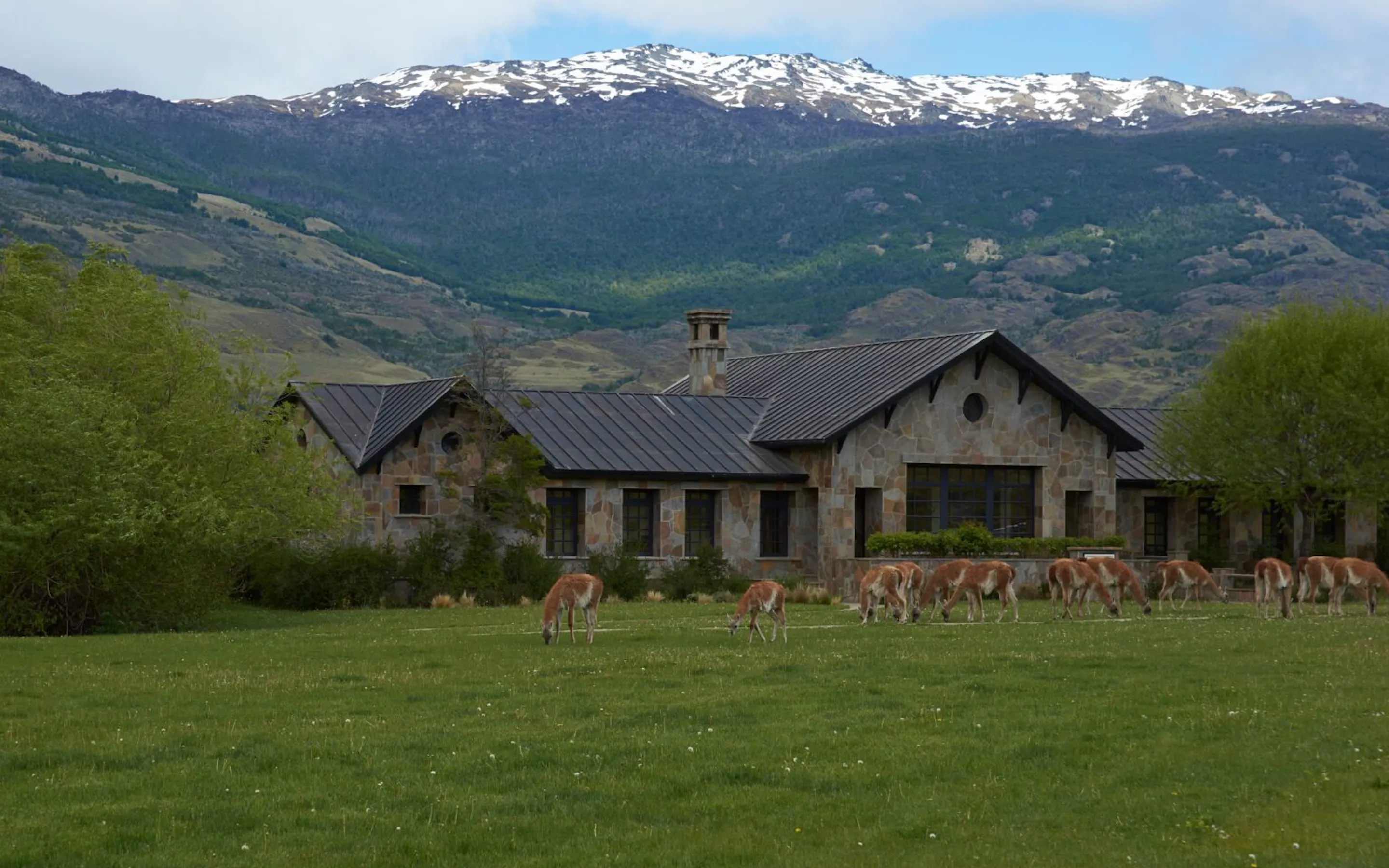 Guanacos grazing beside a stone lodge in open grassland against the backdrop of Chile's Patagonia National Park.