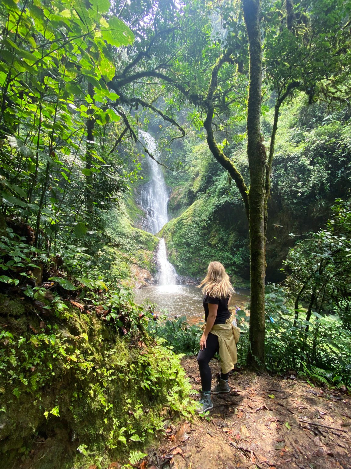 A hiker stands on a forest trail beside Ndambarare Falls, where white water drops through dense green foliage.