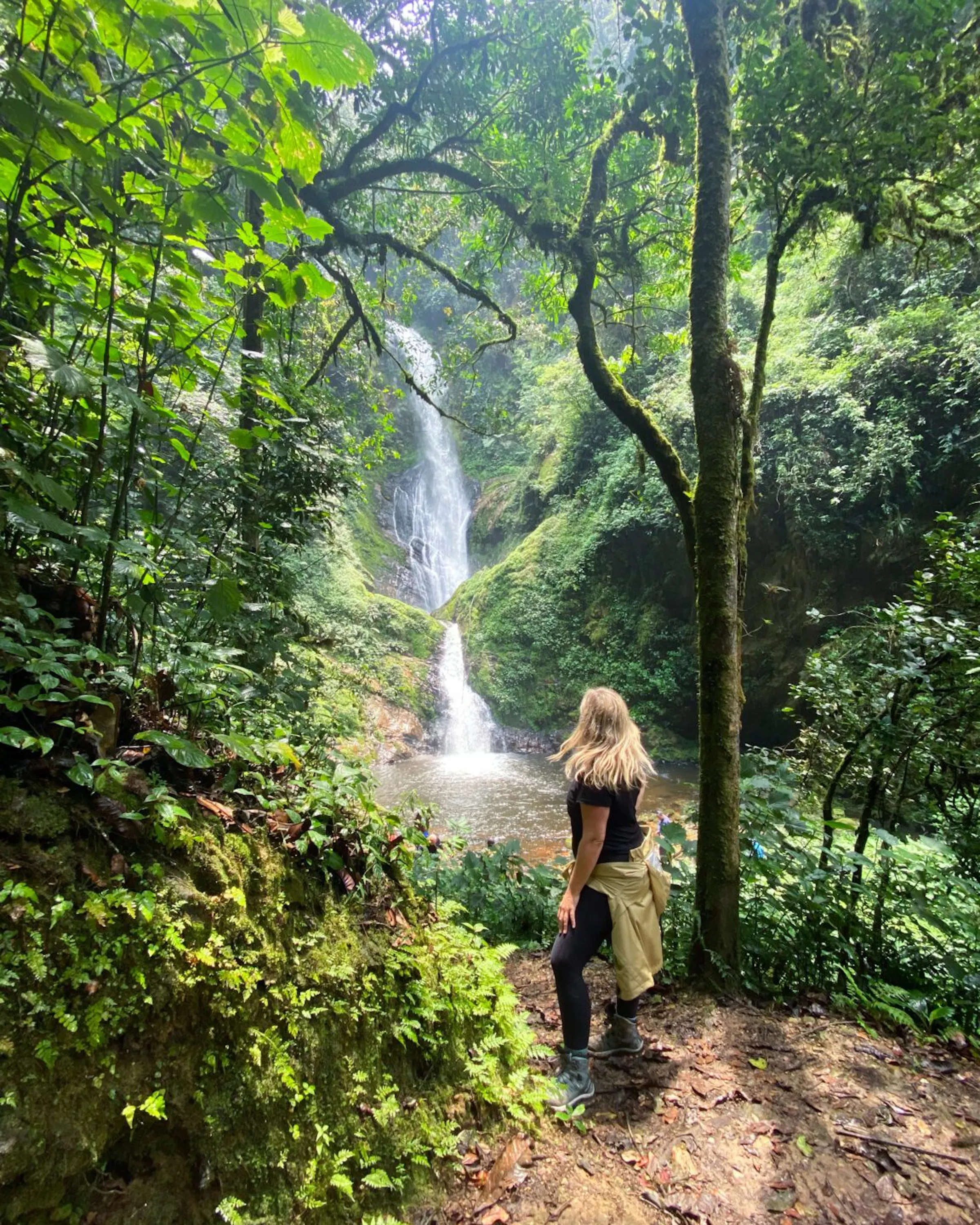 A hiker stands on a forest trail beside Ndambarare Falls, where white water drops through dense green foliage.