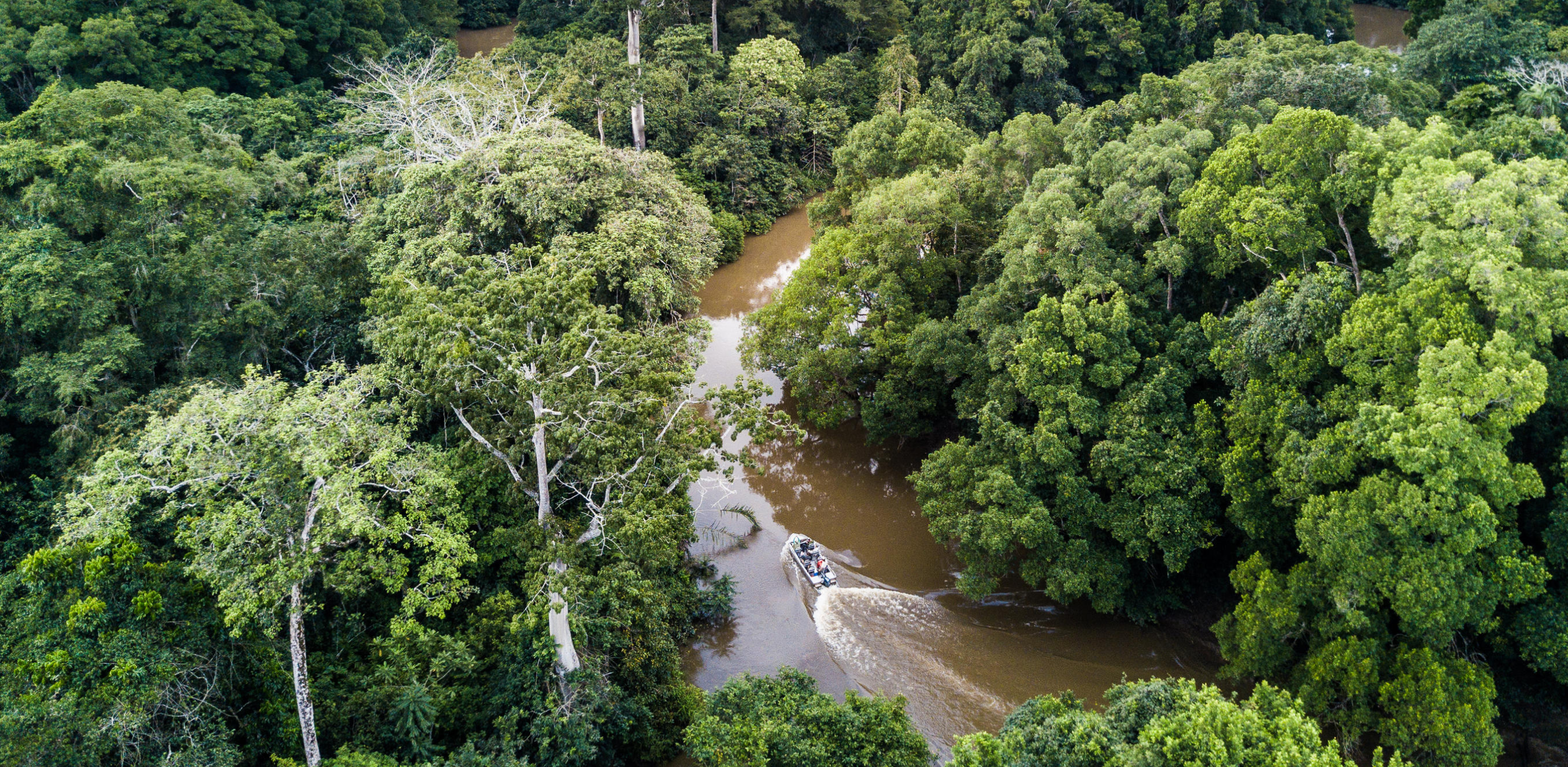 Dense rainforest surrounds winding waterways in Odzala, Congo, with bright green canopy filling the frame.