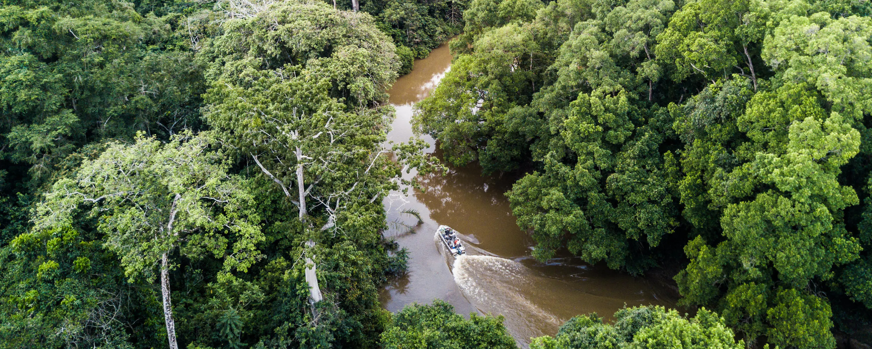 Dense rainforest surrounds winding waterways in Odzala, Congo, with bright green canopy filling the frame.