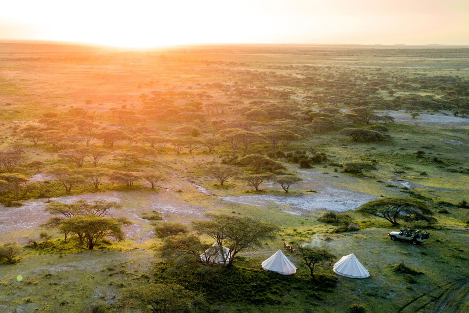 Three fly-camping tents face the open Maasai Mara, pitched on bare ground above golden grassland at dusk.