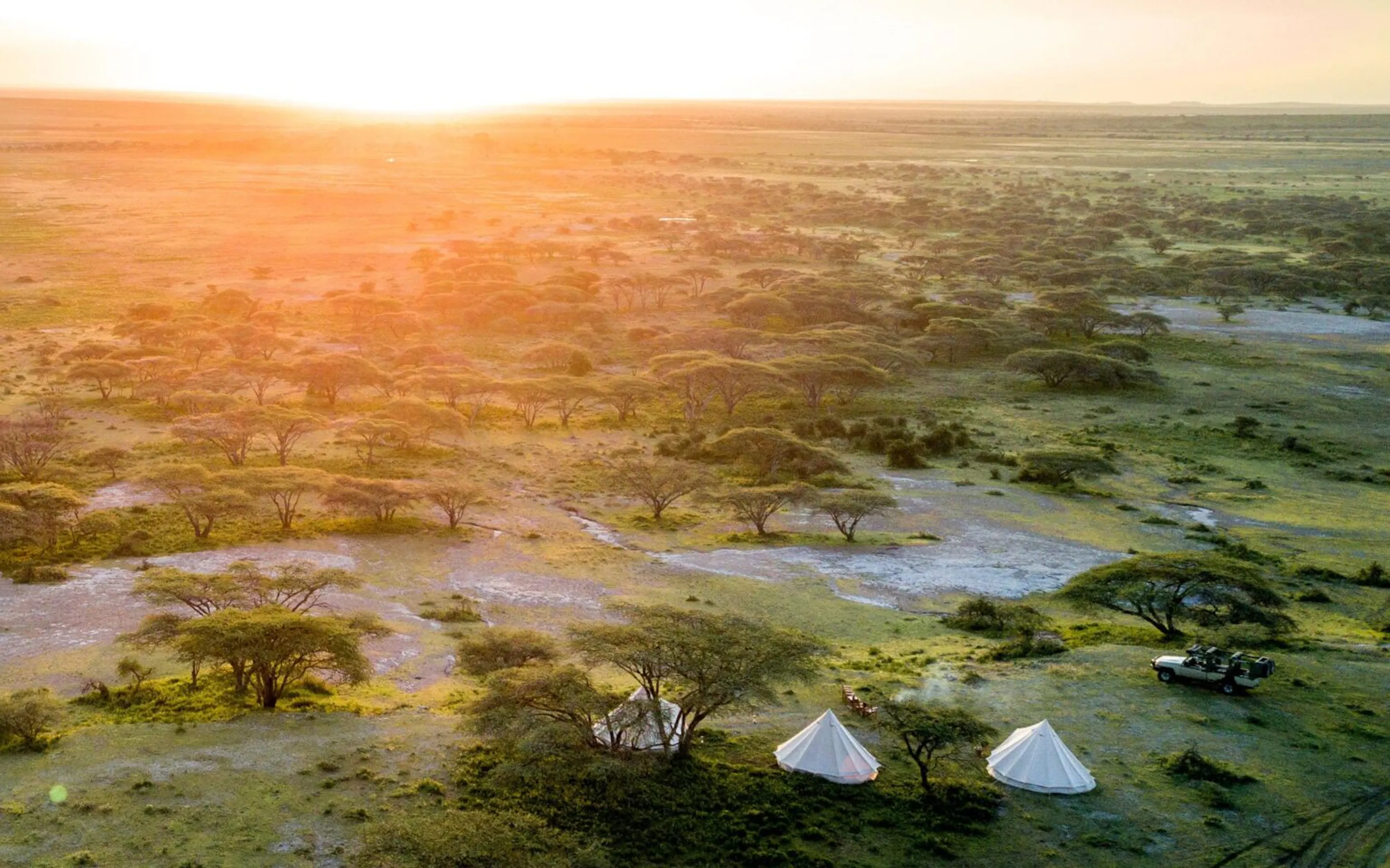 Three fly-camping tents face the open Maasai Mara, pitched on bare ground above golden grassland at dusk.