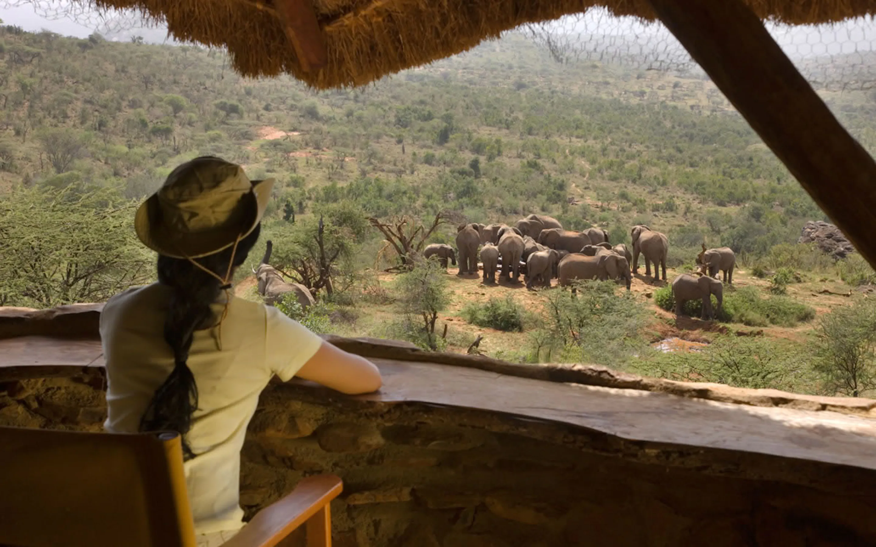 A guest watches elephants from a shaded terrace at Ol Malo Lodge, with rolling dry hills beyond the pool.