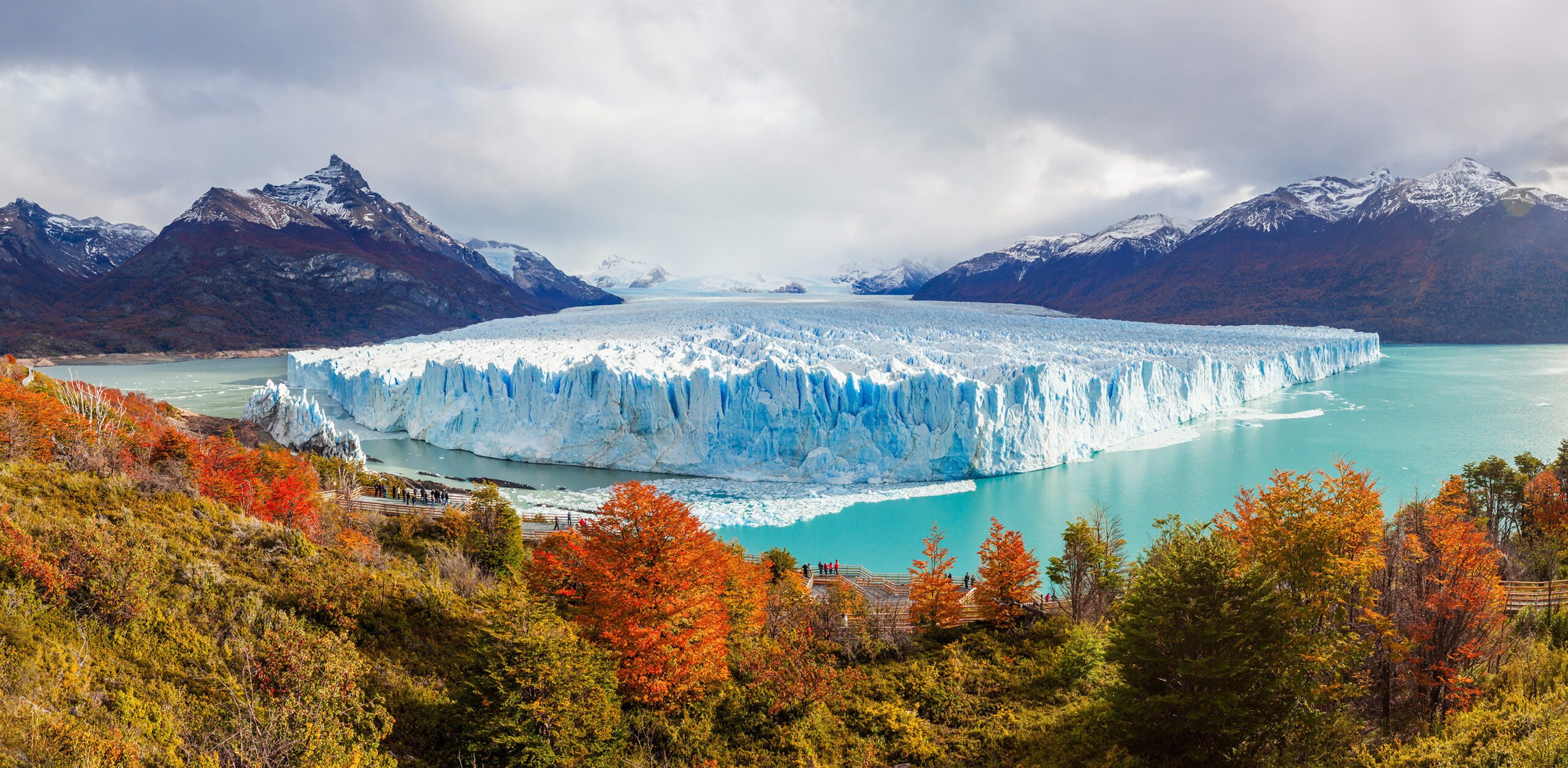 A vast glacier meets pale blue water beyond bright autumn trees and dark mountains in Argentine Patagonia.