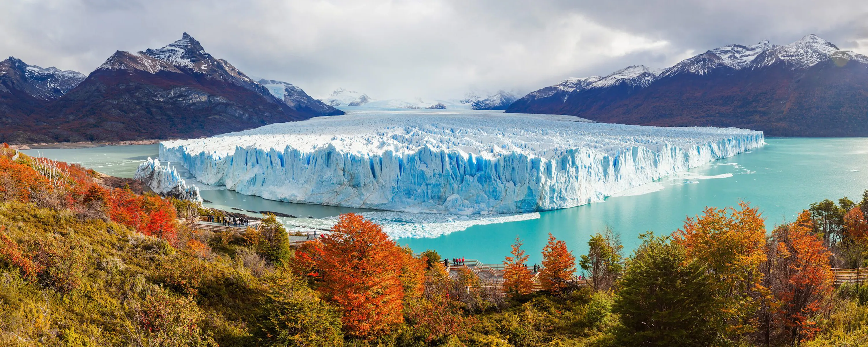A vast glacier meets pale blue water beyond bright autumn trees and dark mountains in Argentine Patagonia.