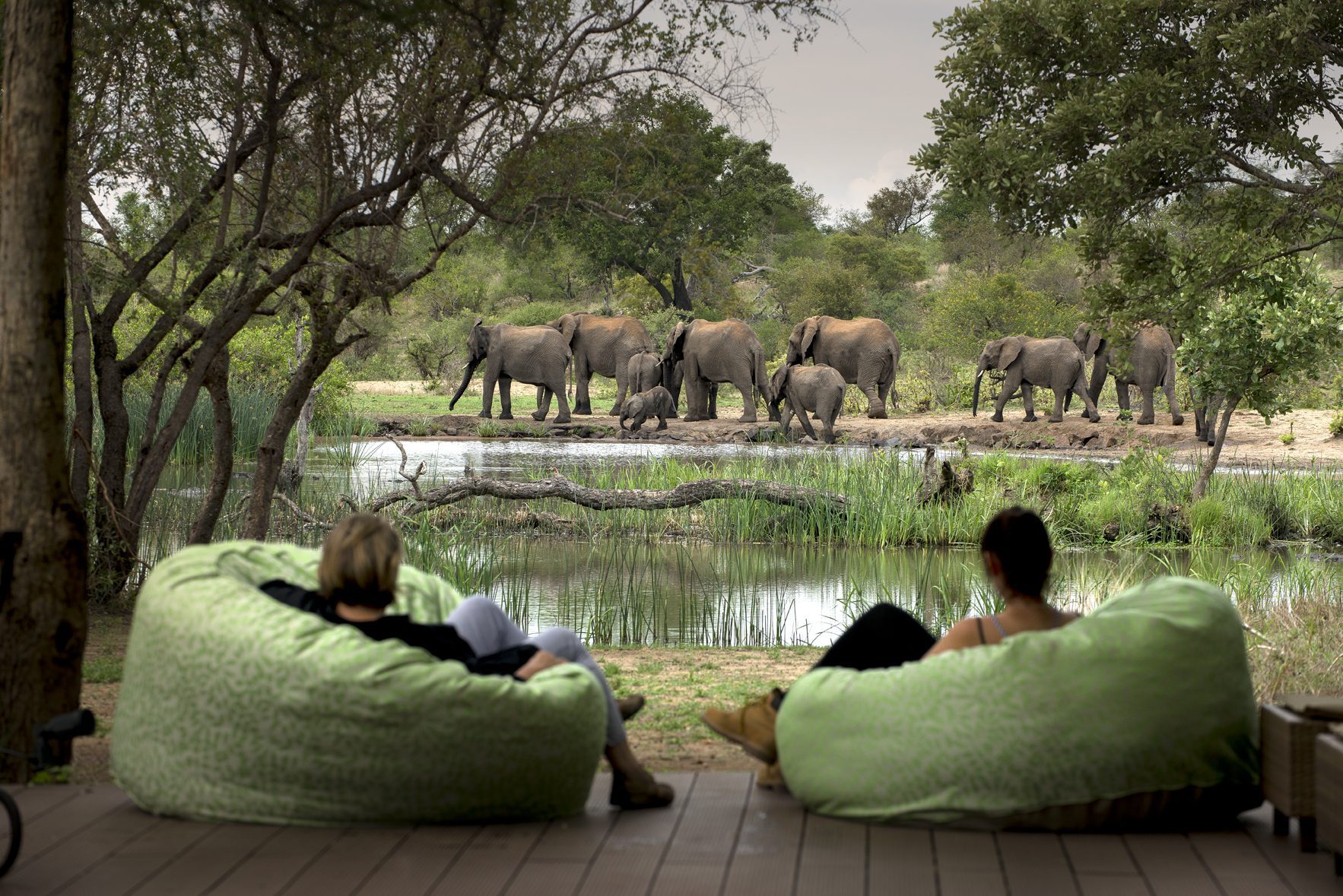 Guests lounge on beanbags beside a waterhole at Tanda Tula, watching elephants gather beyond the deck at dusk.