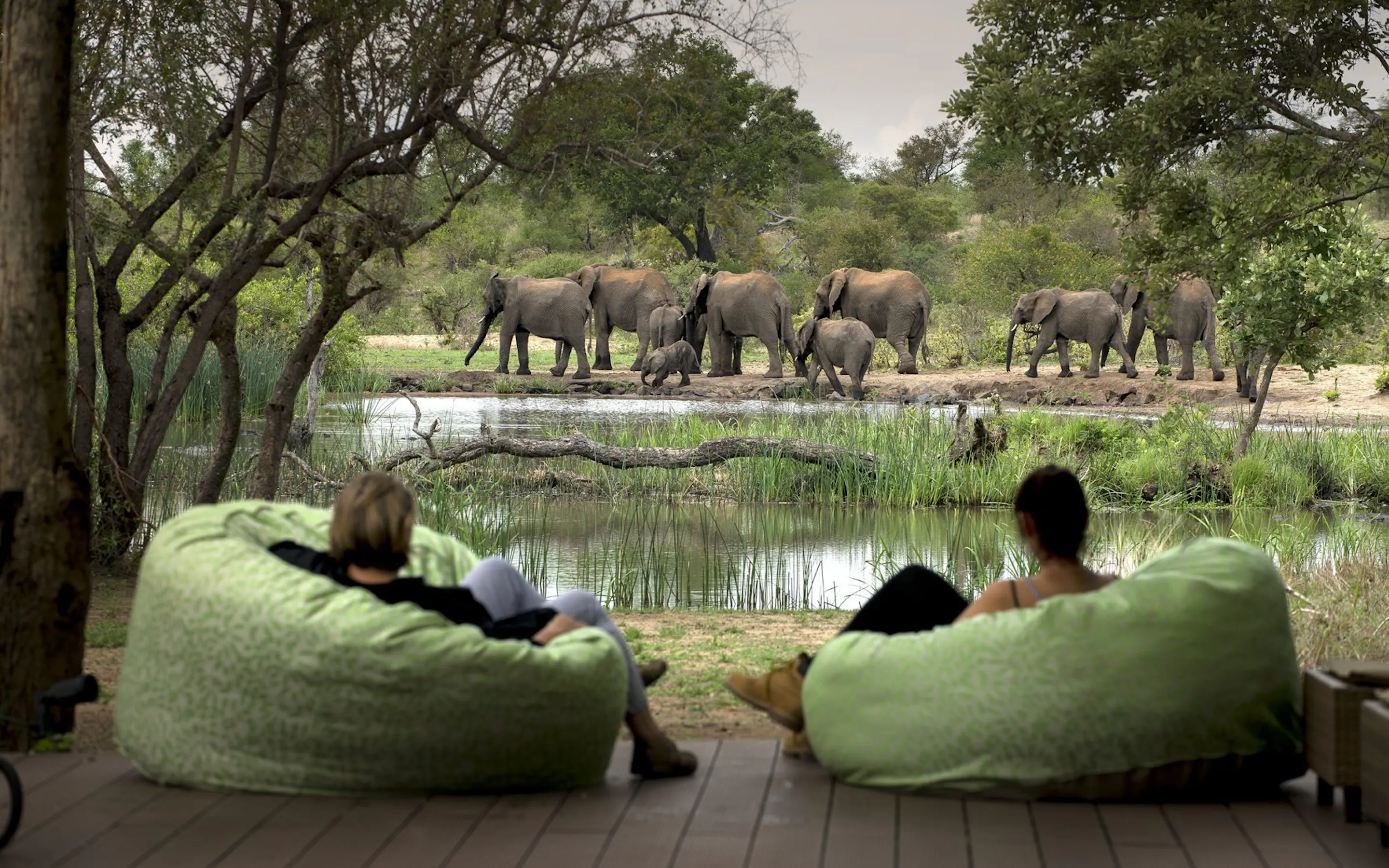Guests lounge on beanbags beside a waterhole at Tanda Tula, watching elephants gather beyond the deck at dusk.