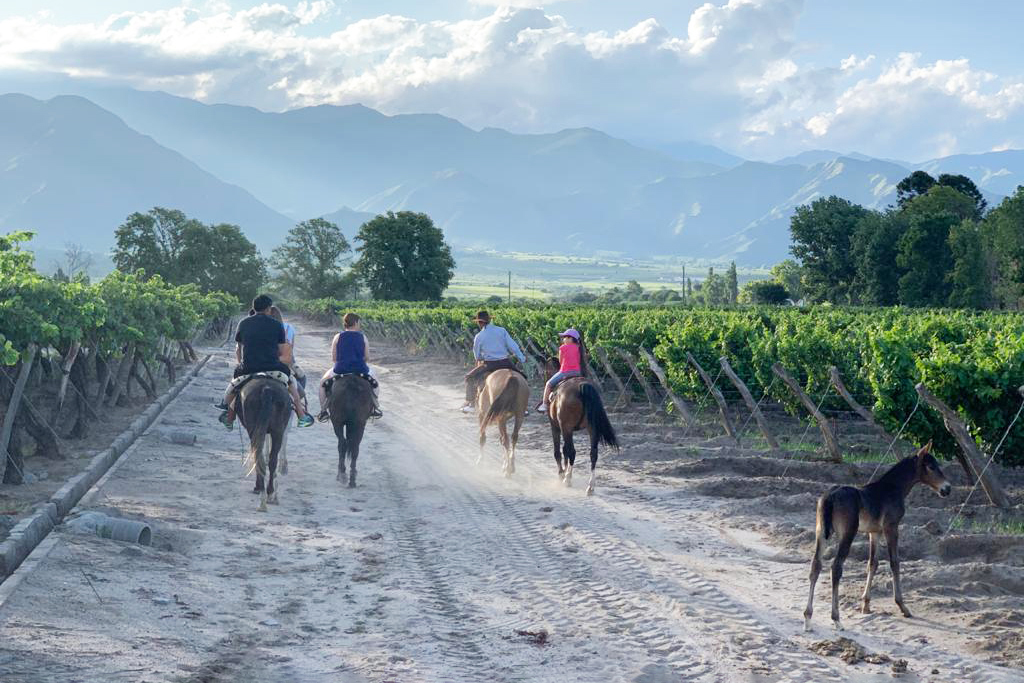 Riders and dogs move along a vineyard road at Patios de Cafayate in northwest Argentina, with hills beyond.