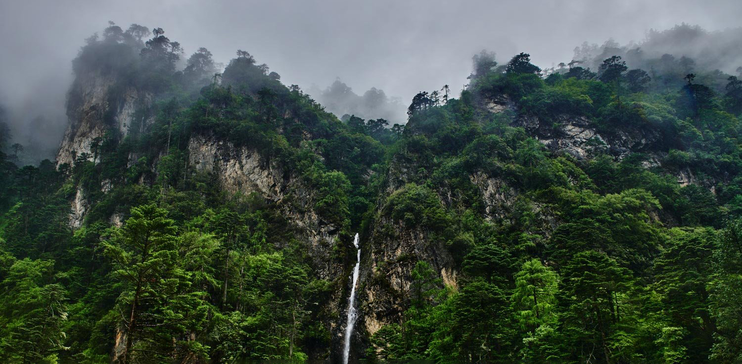 Mist drifts over forested cliffs and a narrow waterfall in Laya, Bhutan, beneath a low blanket of cloud.