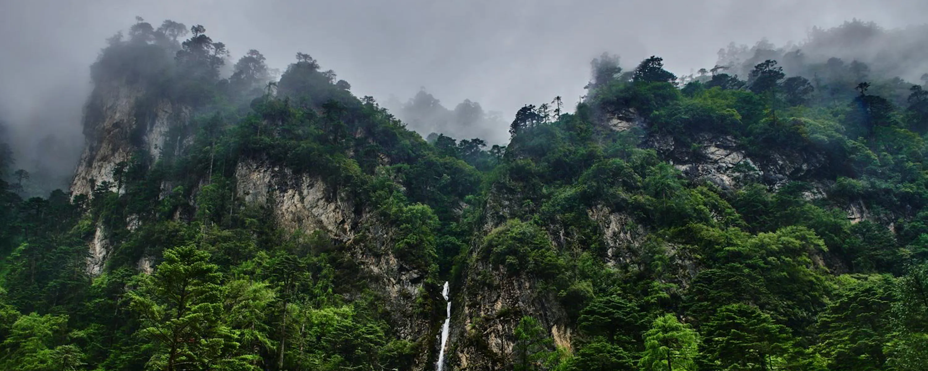 Mist drifts over forested cliffs and a narrow waterfall in Laya, Bhutan, beneath a low blanket of cloud.