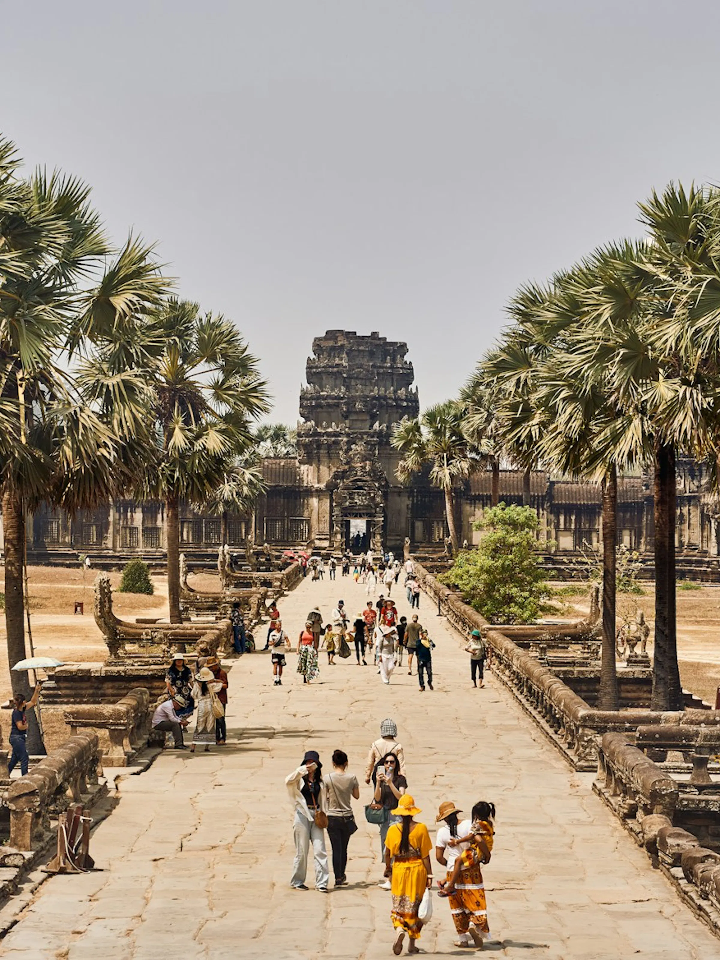 Visitors walk along Angkor Wat’s stone causeway lined with palm trees, leading toward the temple towers ahead.