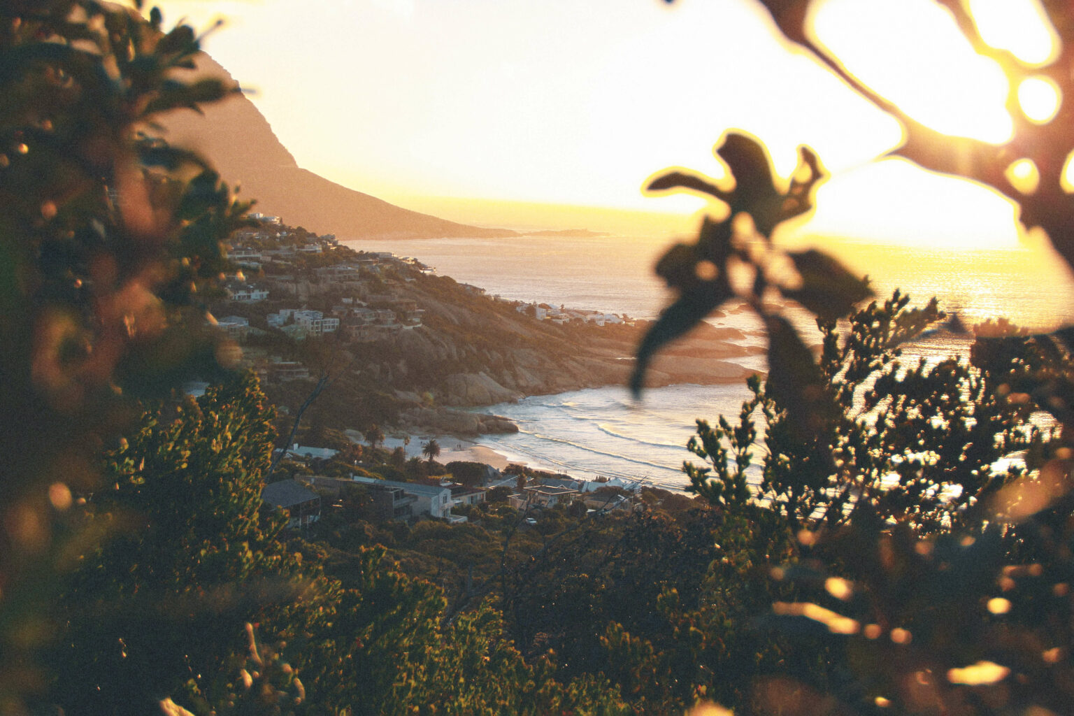 Sunset light filters through coastal foliage above the sea near Llandudhno, Cape Town, with rocky shoreline visible below.
