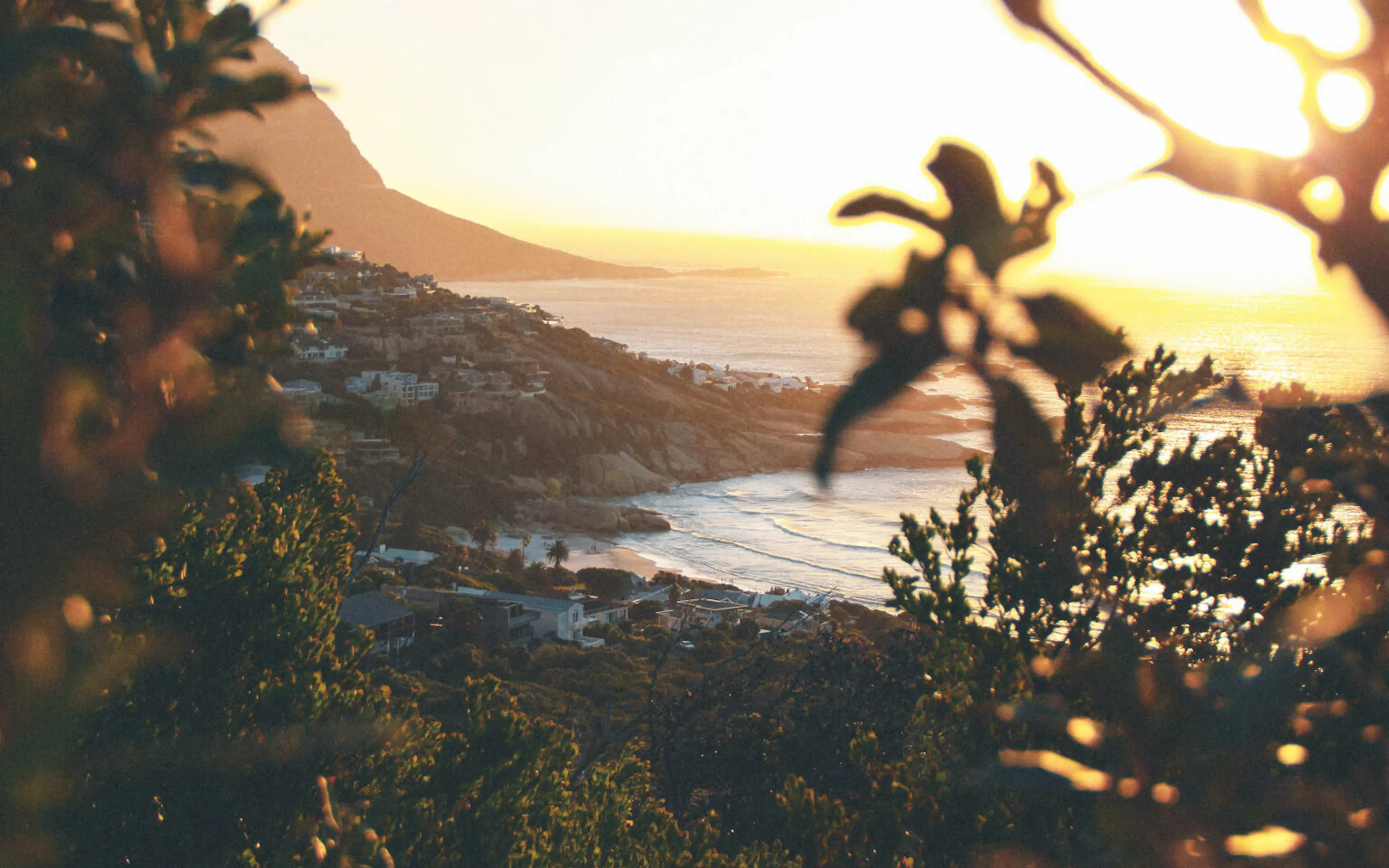 Sunset light filters through coastal foliage above the sea near Llandudhno, Cape Town, with rocky shoreline visible below.