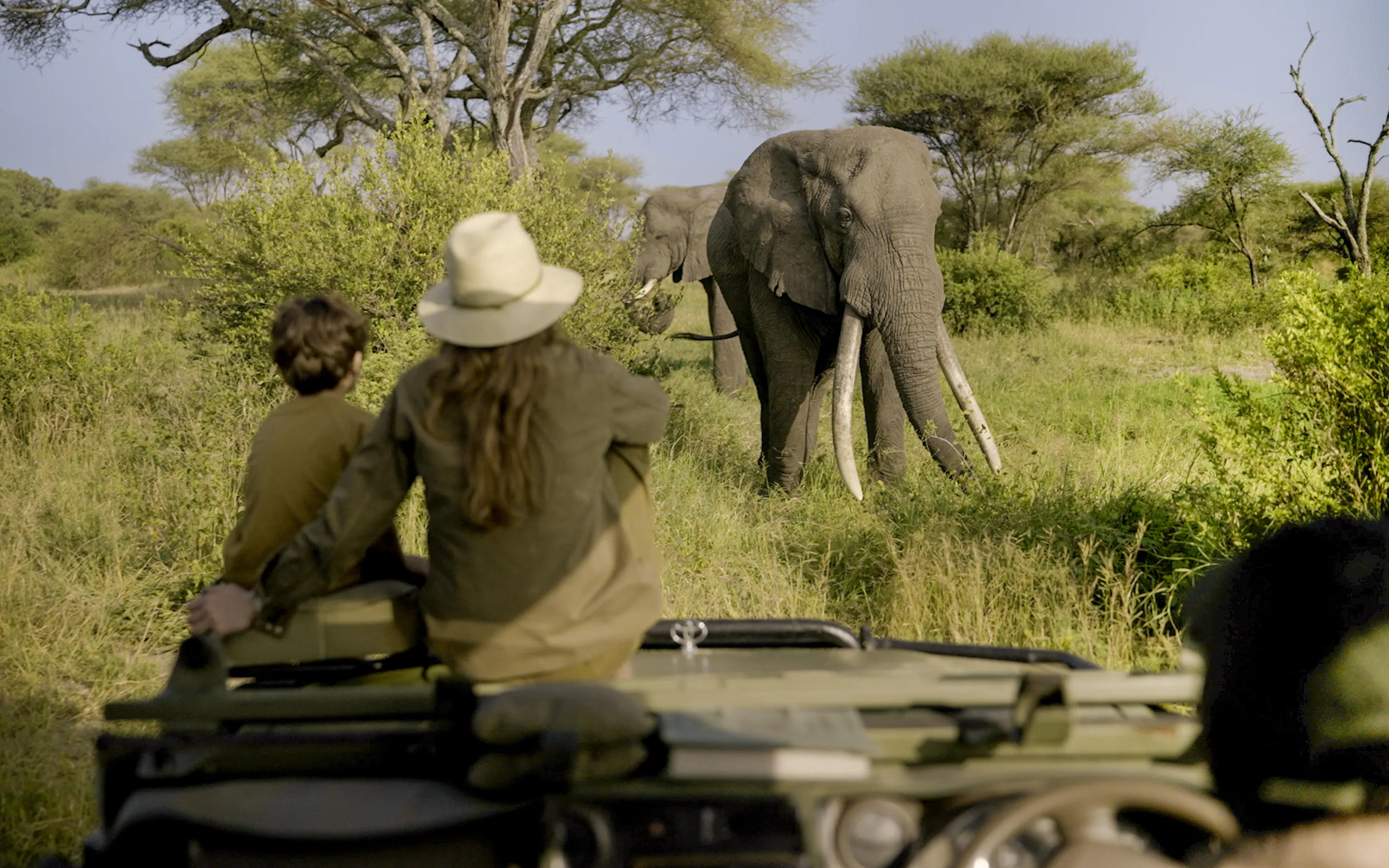 Guests watch a lone elephant from their vehicle at Little Chem Chem, surrounded by green bush and evening light.