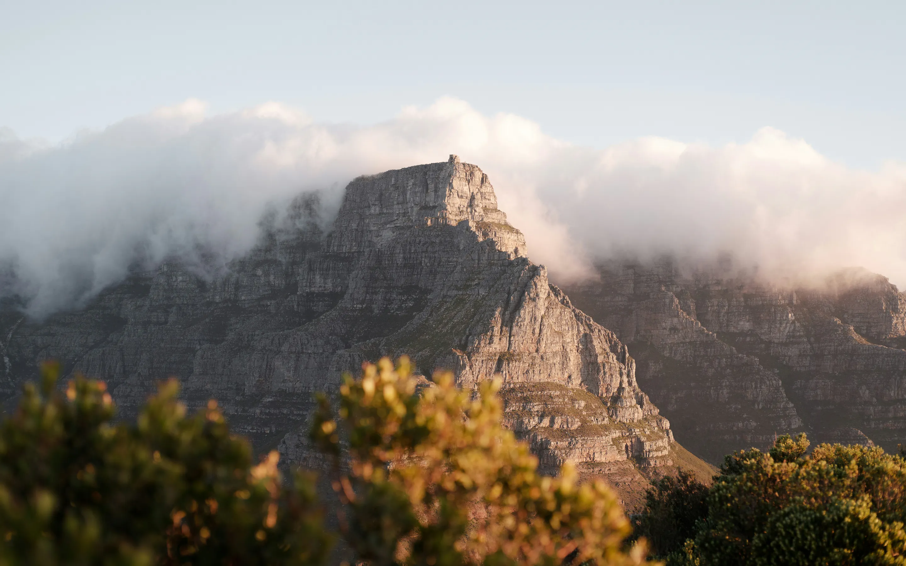 Cloud spills across the flat summit of Table Mountain above Cape Town, framed by fynbos in the foreground.