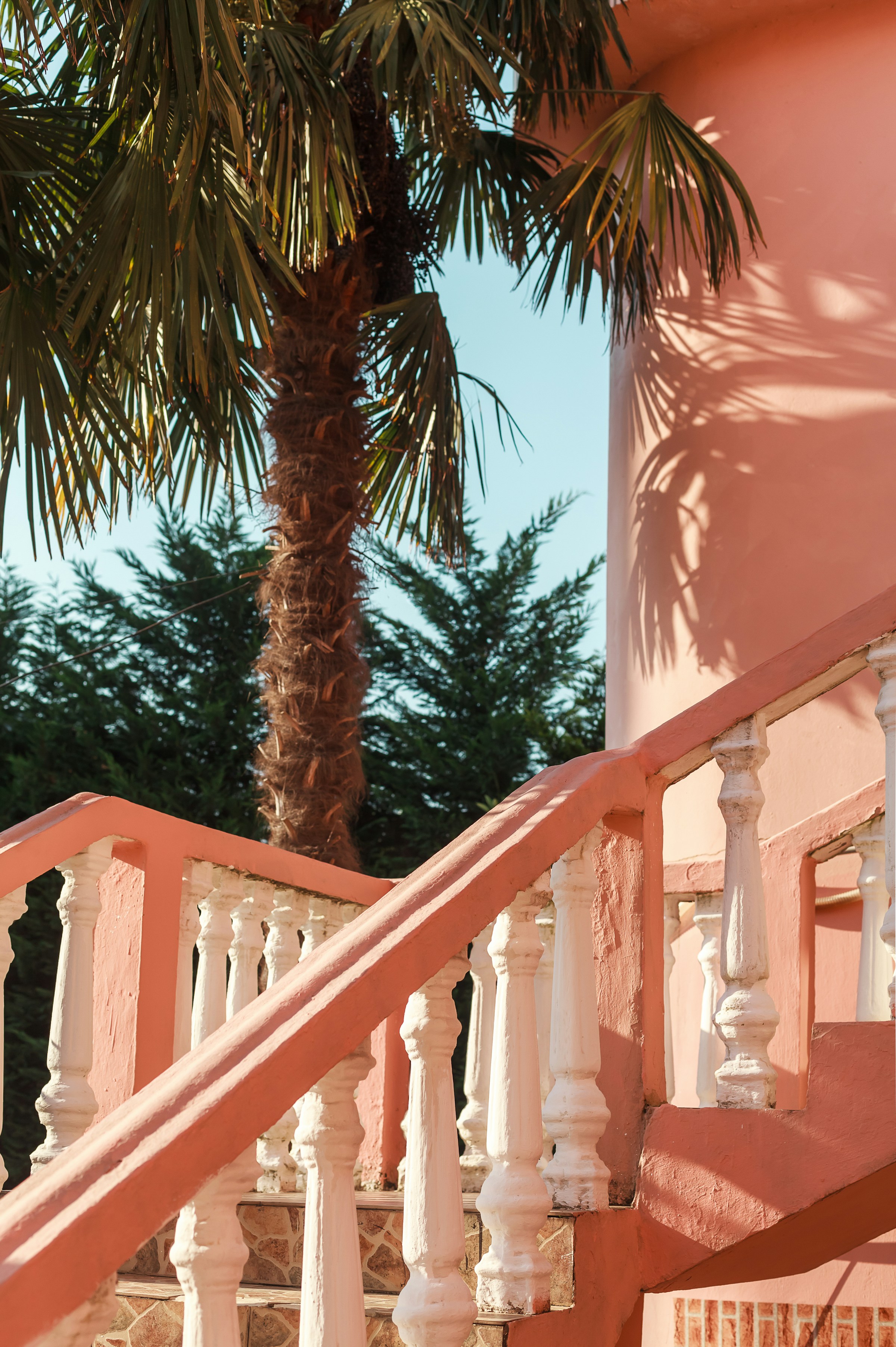 Pink stairs and white balustrades curve beside a tall palm, casting crisp shadows across a sunlit exterior wall.