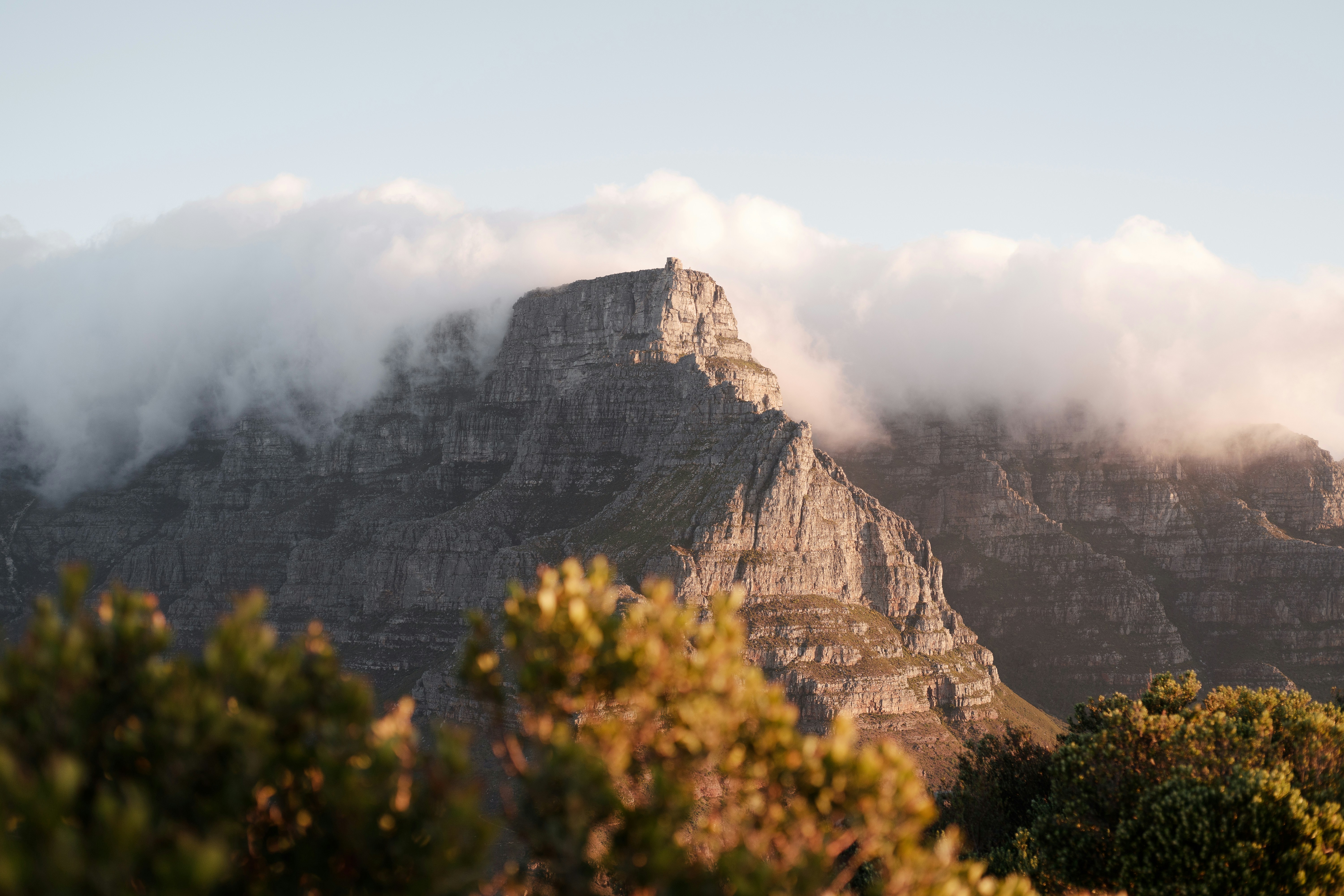 Clouds curl around Table Mountain above Cape Town, with sunlit fynbos and soft evening light in the foreground.