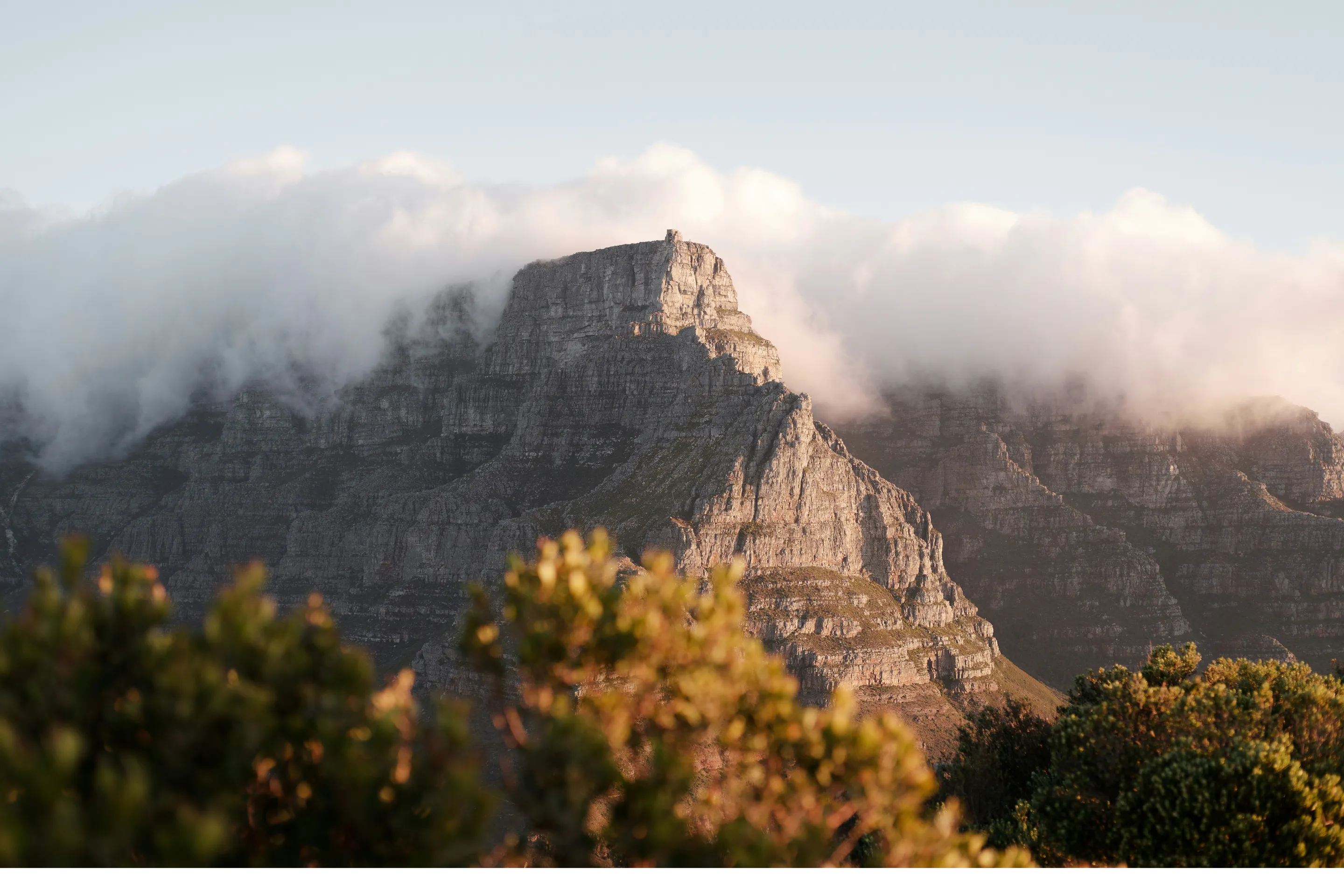 Clouds curl around Table Mountain above Cape Town, with sunlit fynbos and soft evening light in the foreground.