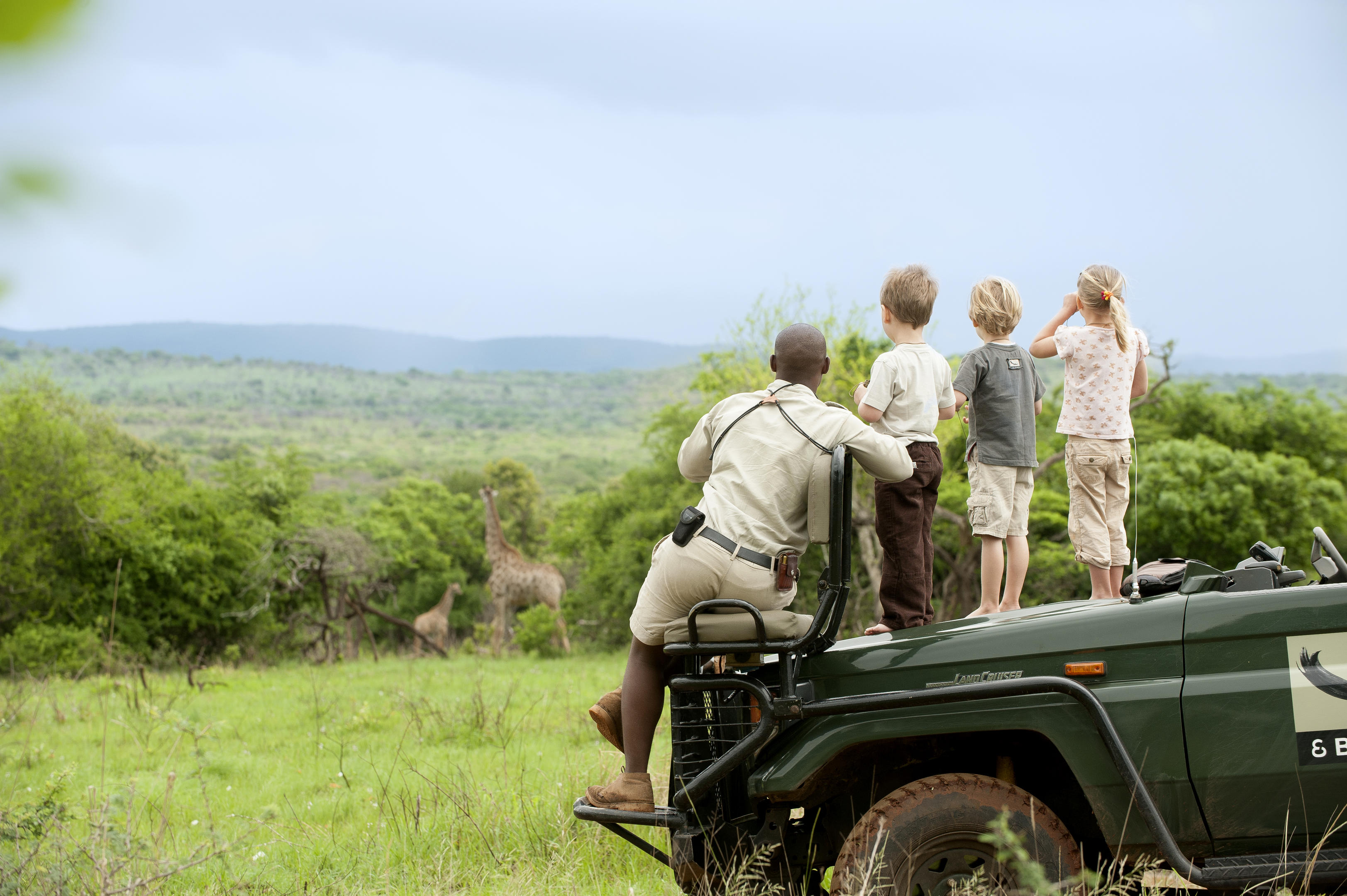 A ranger and three children stand on a safari vehicle watching giraffes, with green hills stretching beyond them.