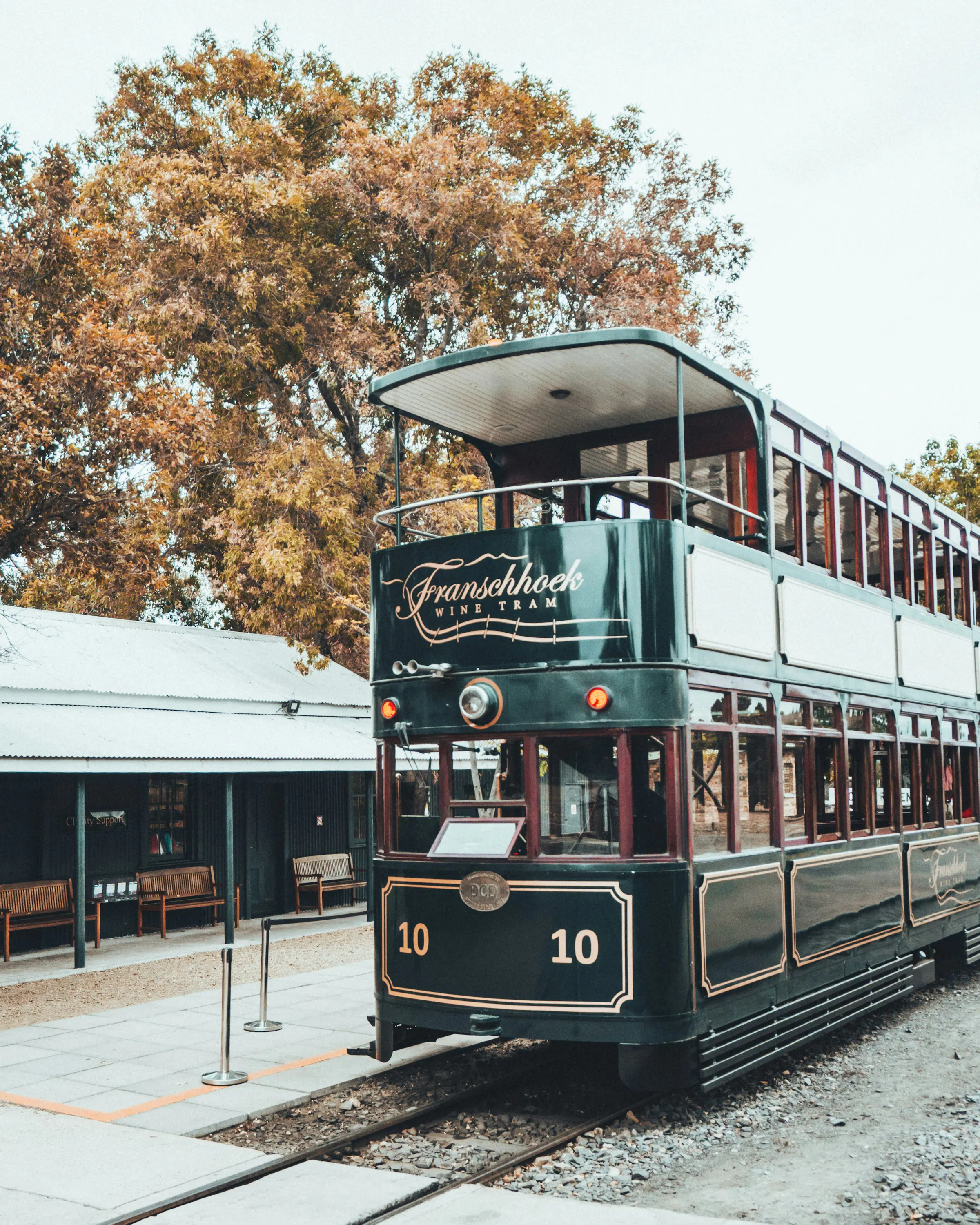The Franschhoek tram waits at the station, its dark vintage body framed by autumn trees and pale buildings.