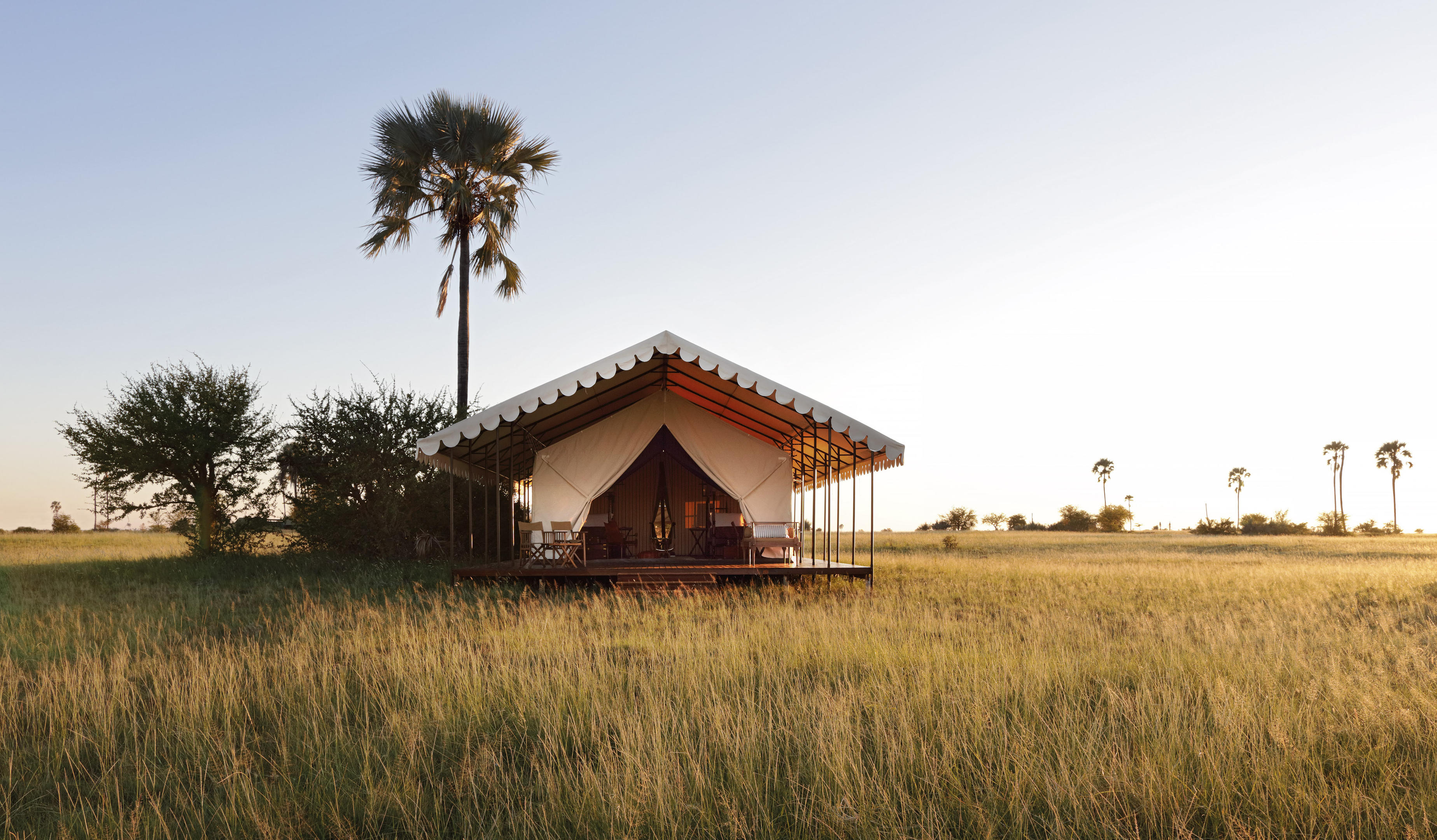 A canvas tent stands in open grassland at San Camp, with palms and long evening shadows across the plains.