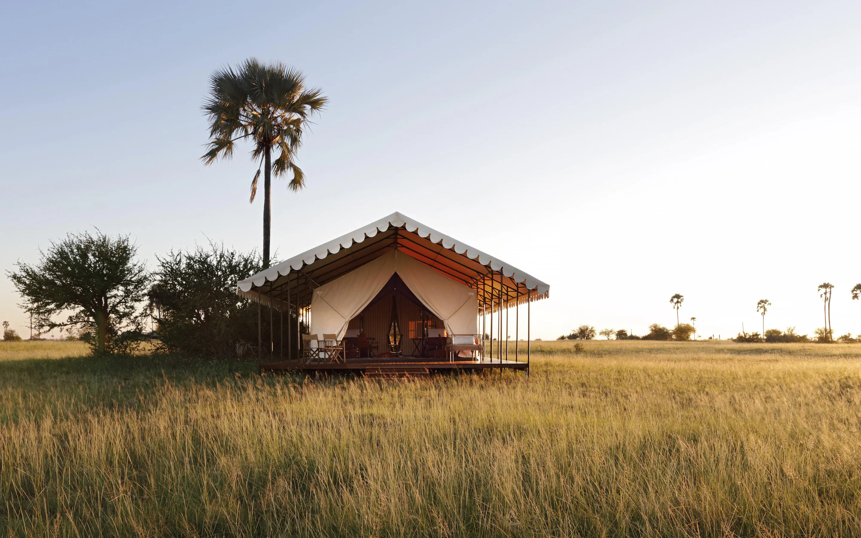 A canvas tent stands in open grassland at San Camp, with palms and long evening shadows across the plains.