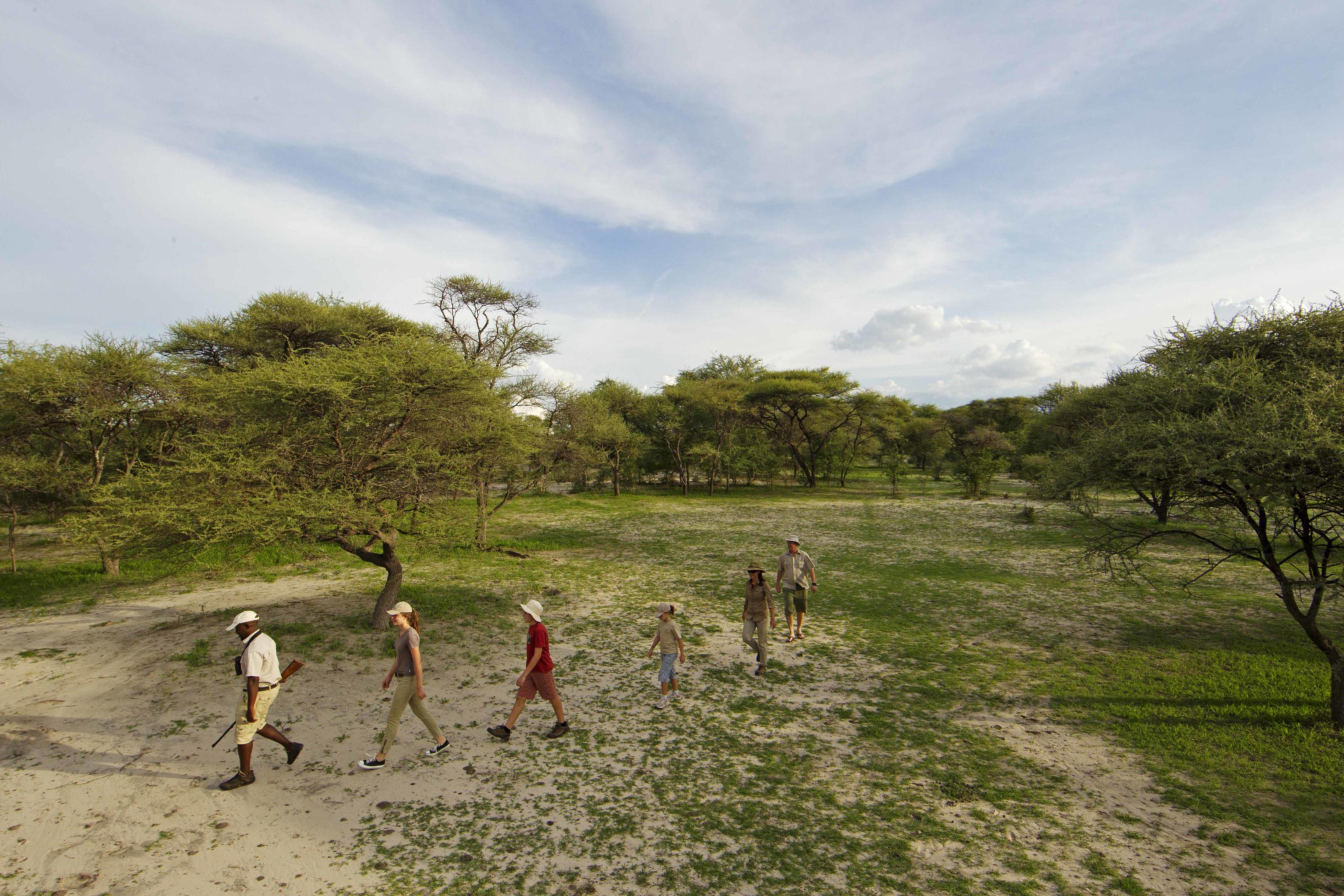 A guide leads a family walking safari across a sandy clearing, with acacia trees and wide sky across the delta.