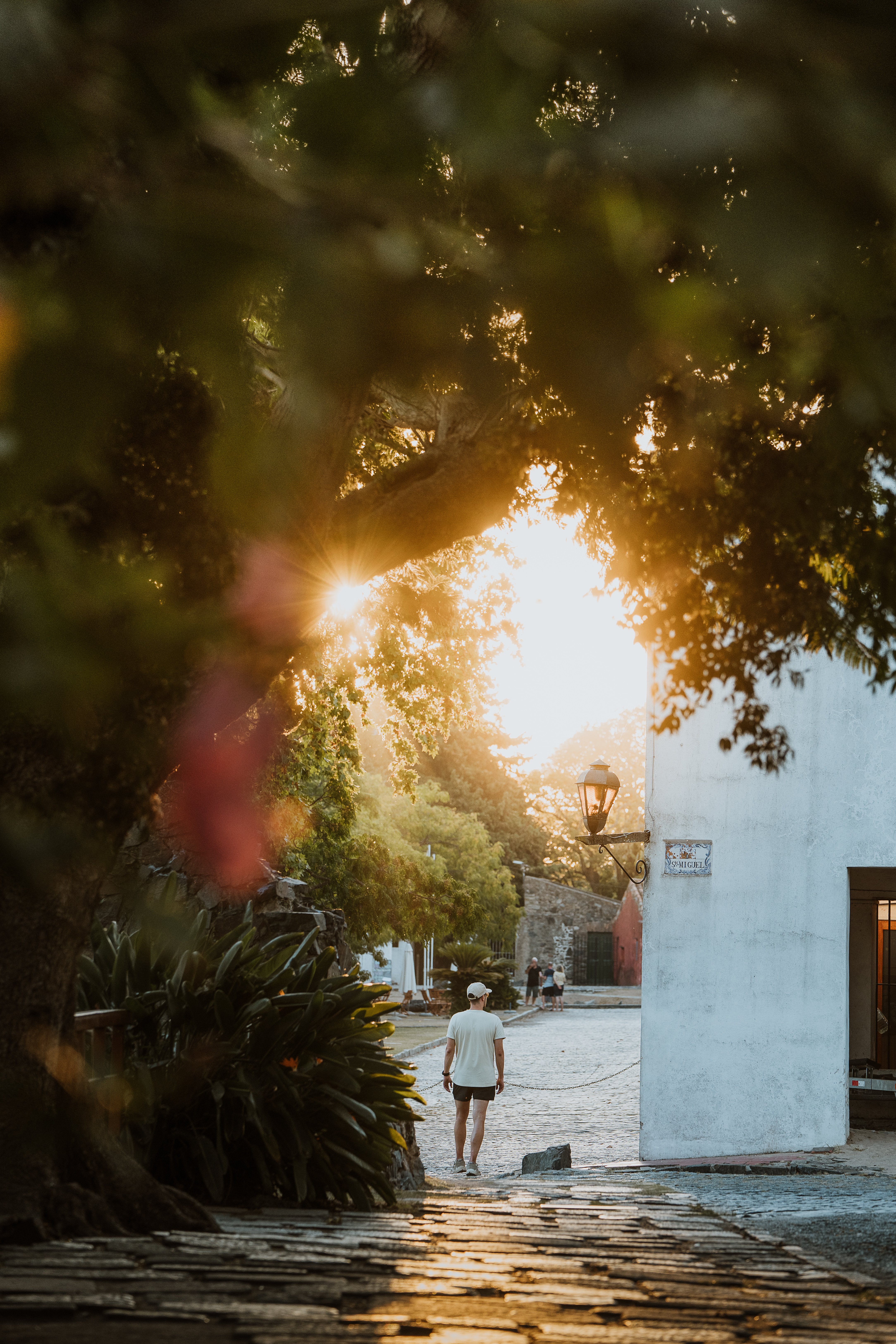 A lone pedestrian walks a cobbled lane past whitewashed walls and leafy trees in warm late-afternoon light.