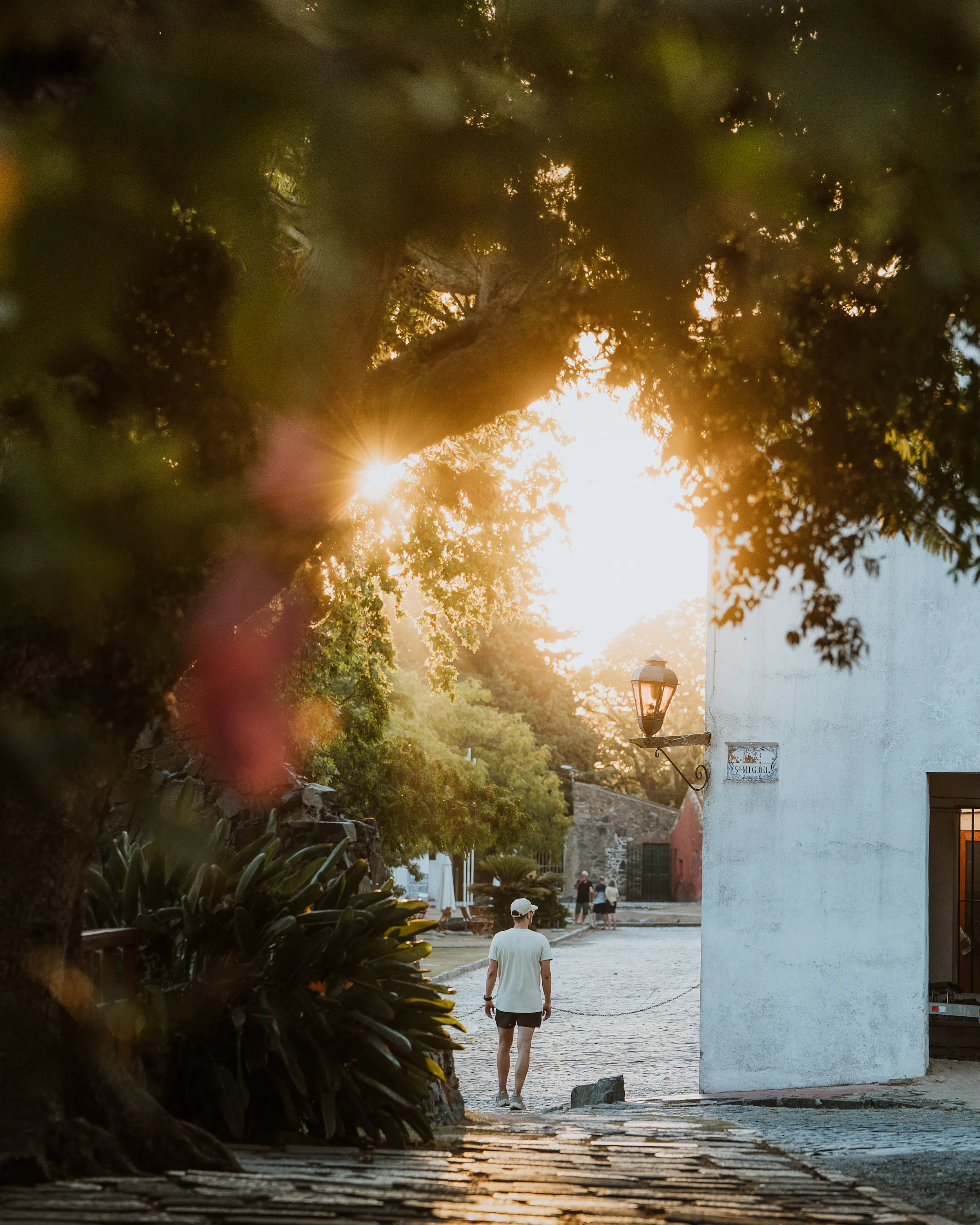 A lone pedestrian walks a cobbled lane past whitewashed walls and leafy trees in warm late-afternoon light.