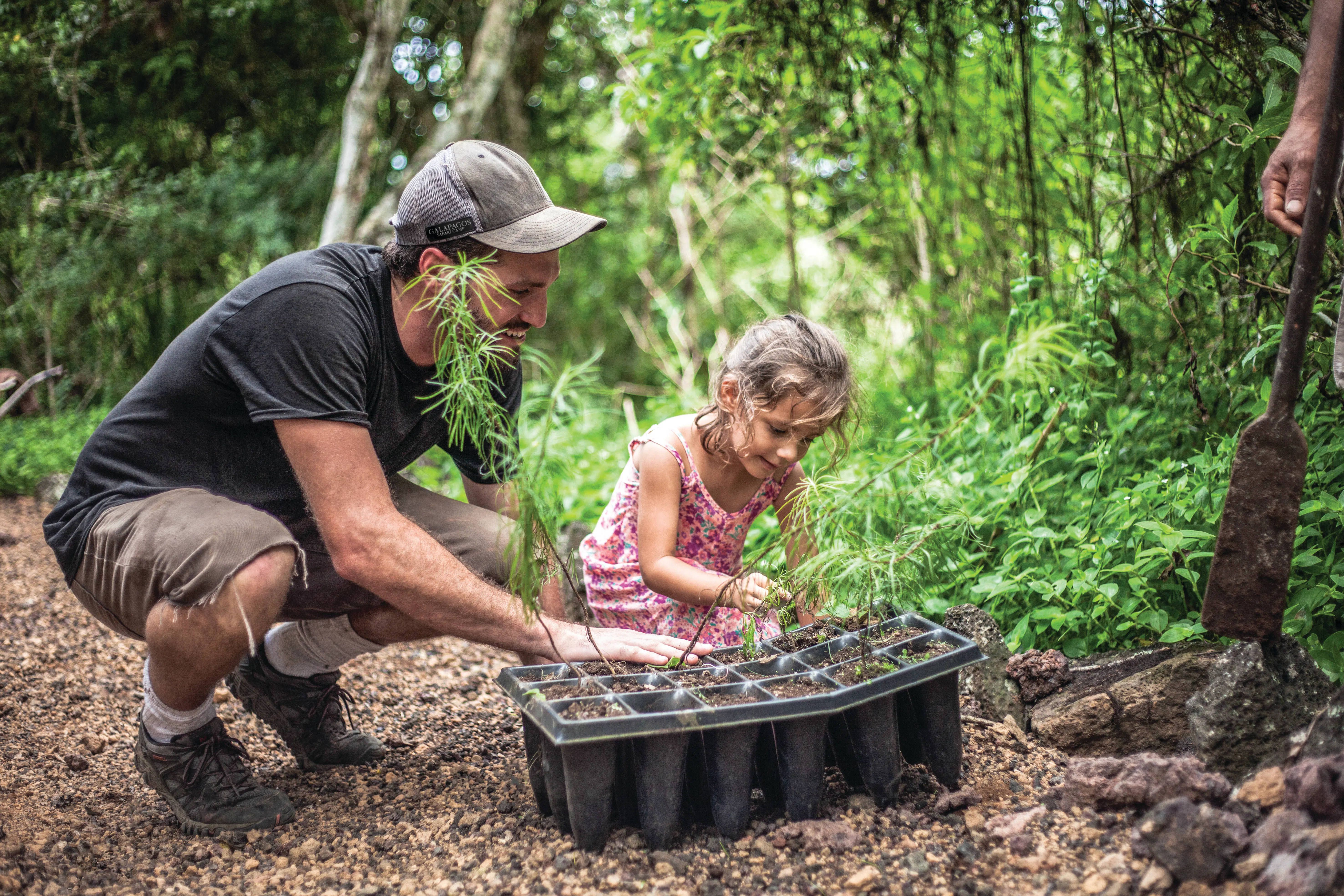 An adult and child plant young saplings beside a forest path during a conservation activity in the Galapagos.