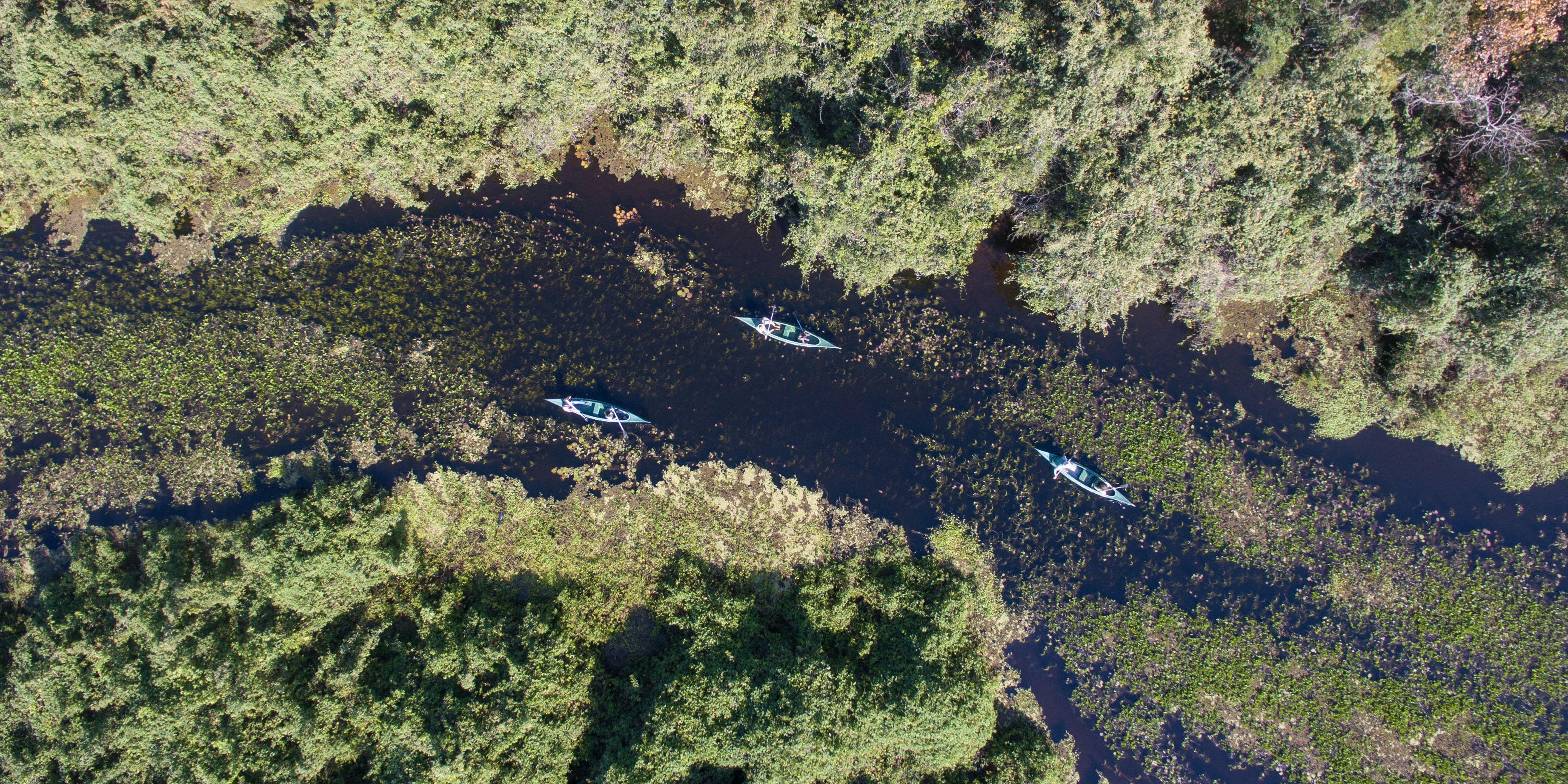 Two canoes drift through a narrow wetland channel beside Araras Eco Lodge, surrounded by reeds and forest shadows.