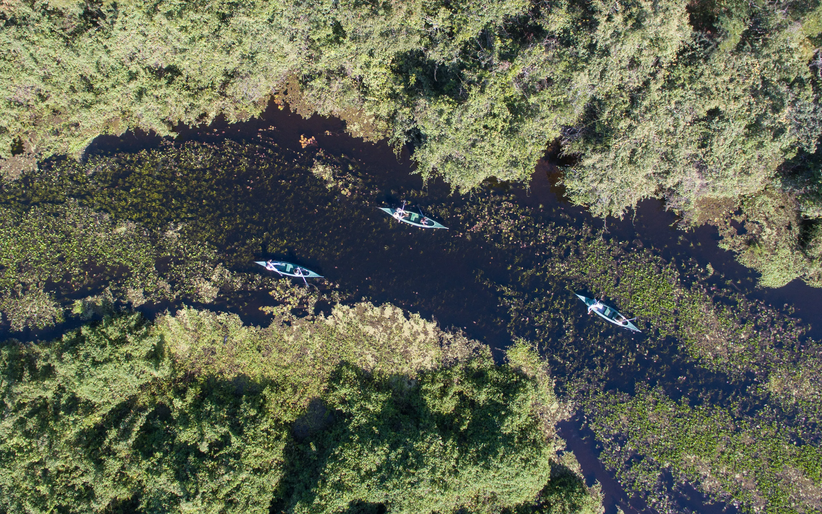 Two canoes drift through a narrow wetland channel beside Araras Eco Lodge, surrounded by reeds and forest shadows.