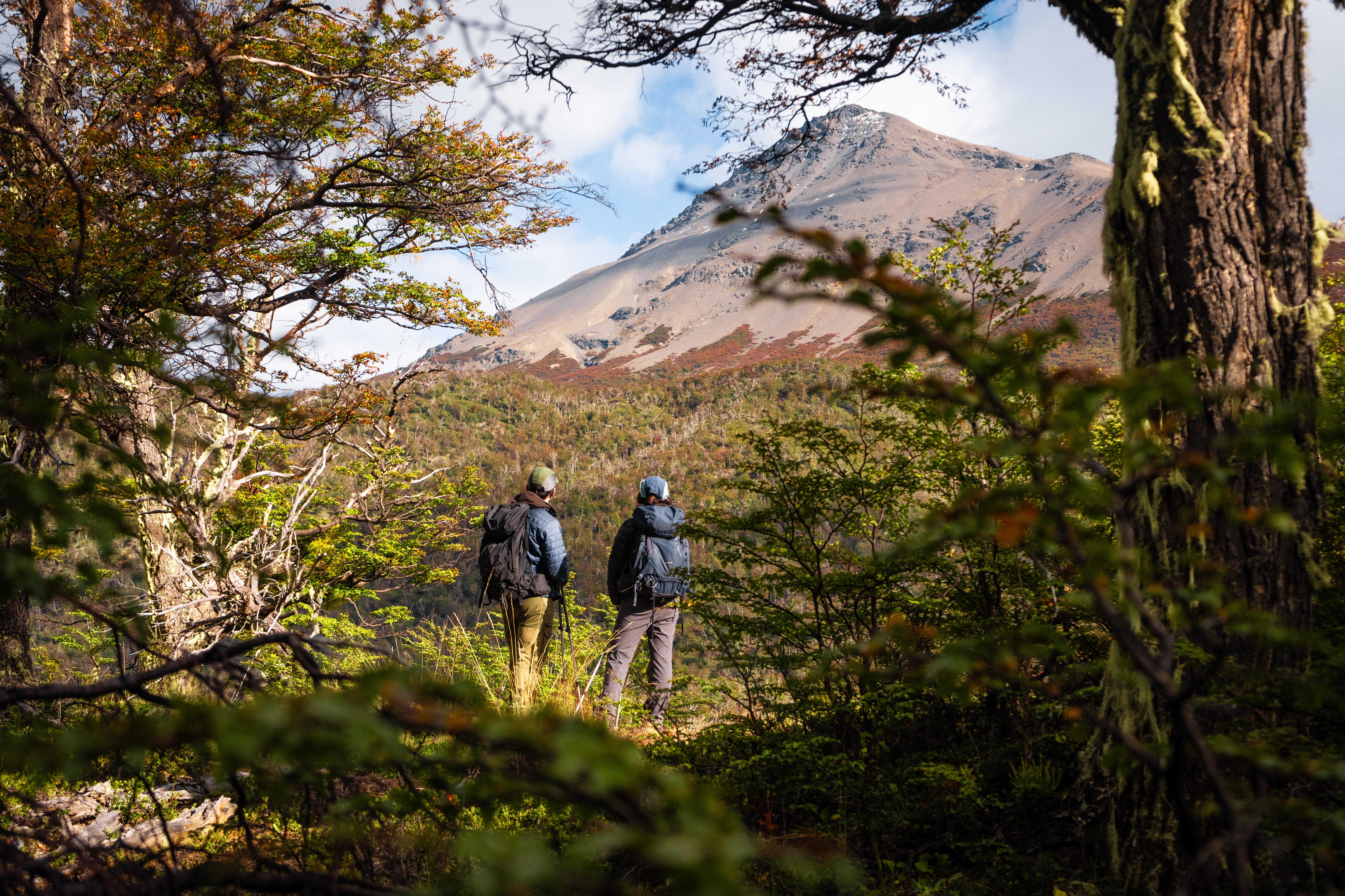 Two hikers walk through a forest clearing toward rugged mountain peaks in Chile's Torres del Paine National Park.