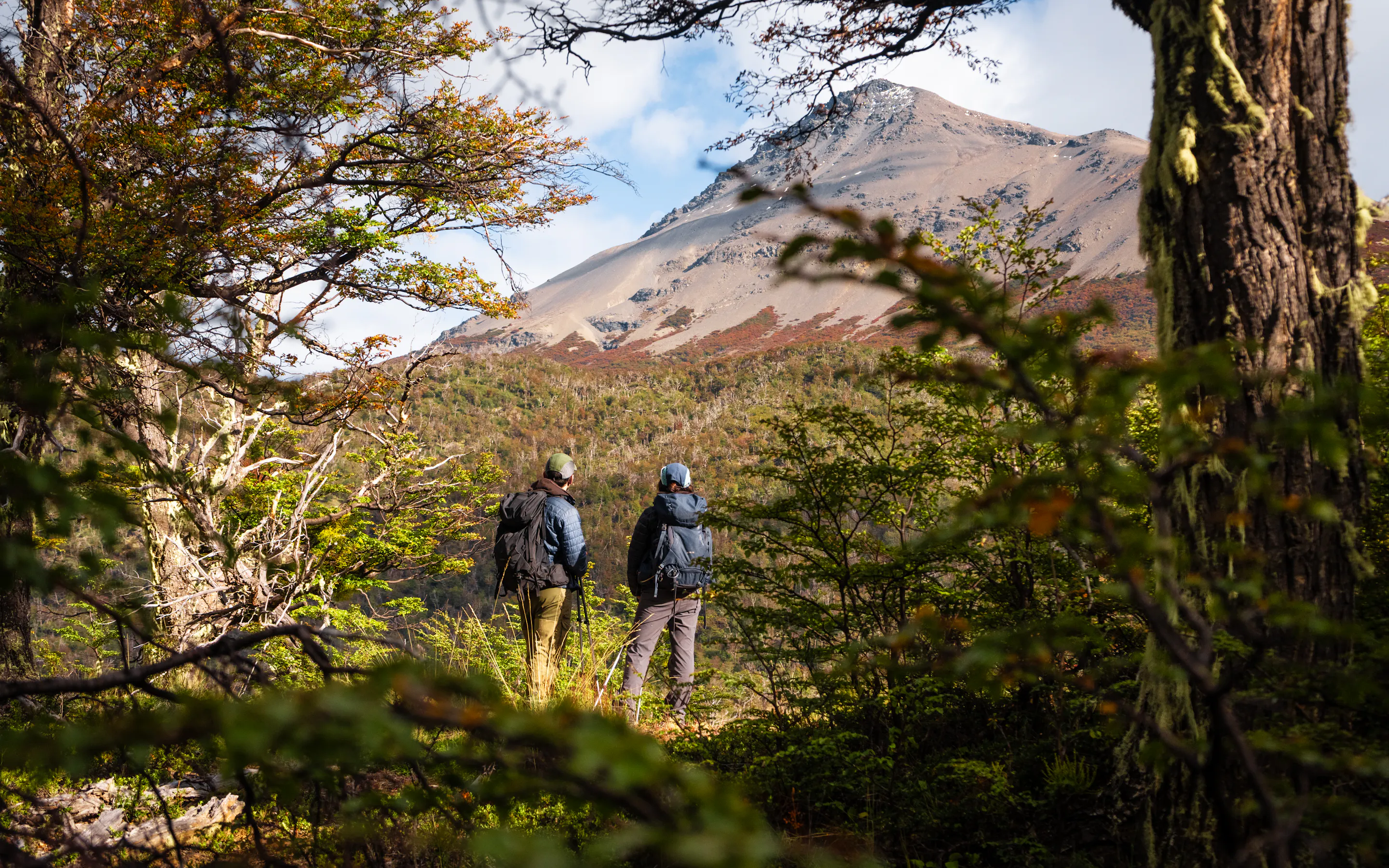 Two hikers walk through a forest clearing toward rugged mountain peaks in Chile's Torres del Paine National Park.