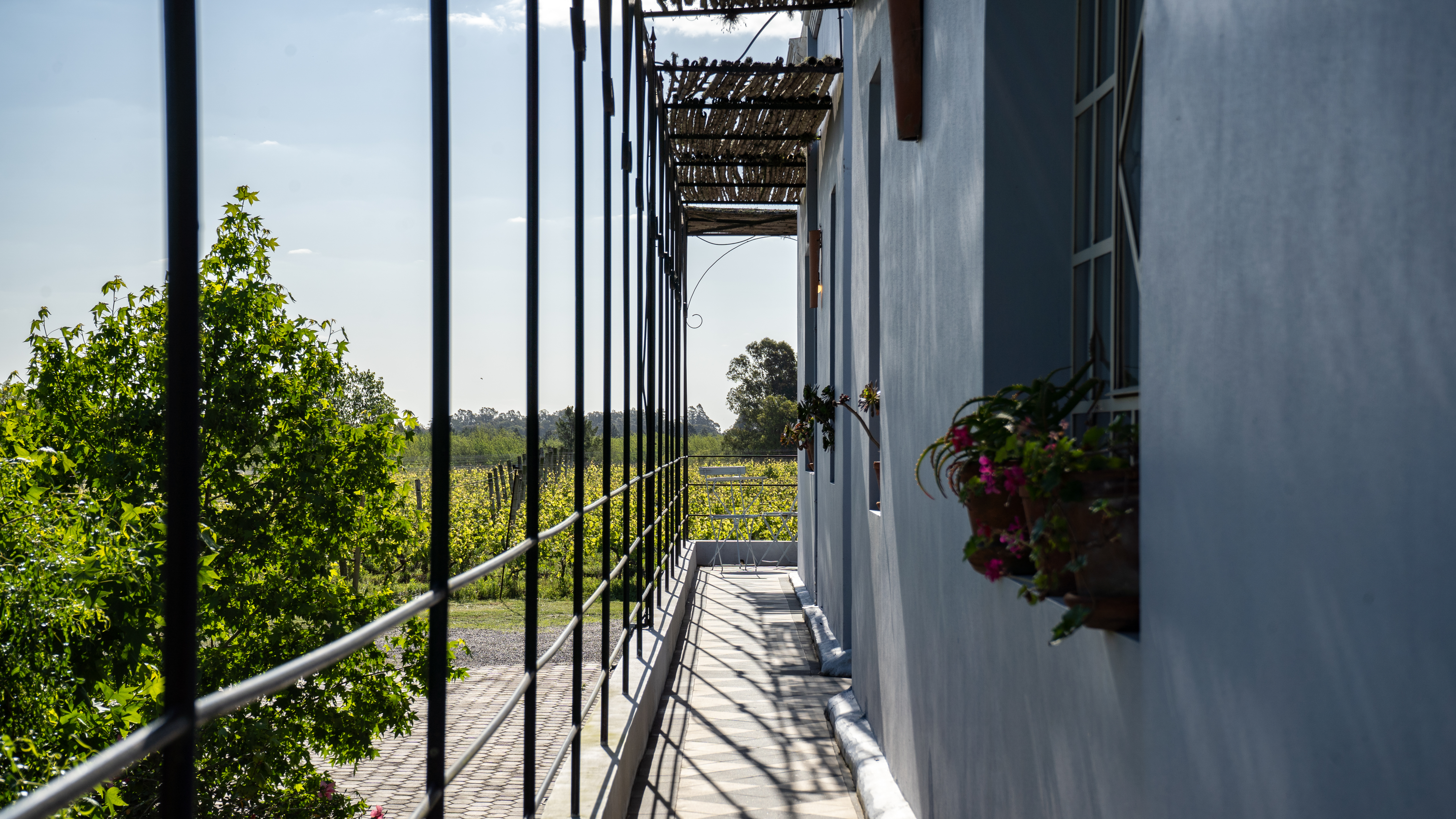 A narrow terrace beside a white lodge looks across rows of vines and open countryside in Uruguay's wine region.