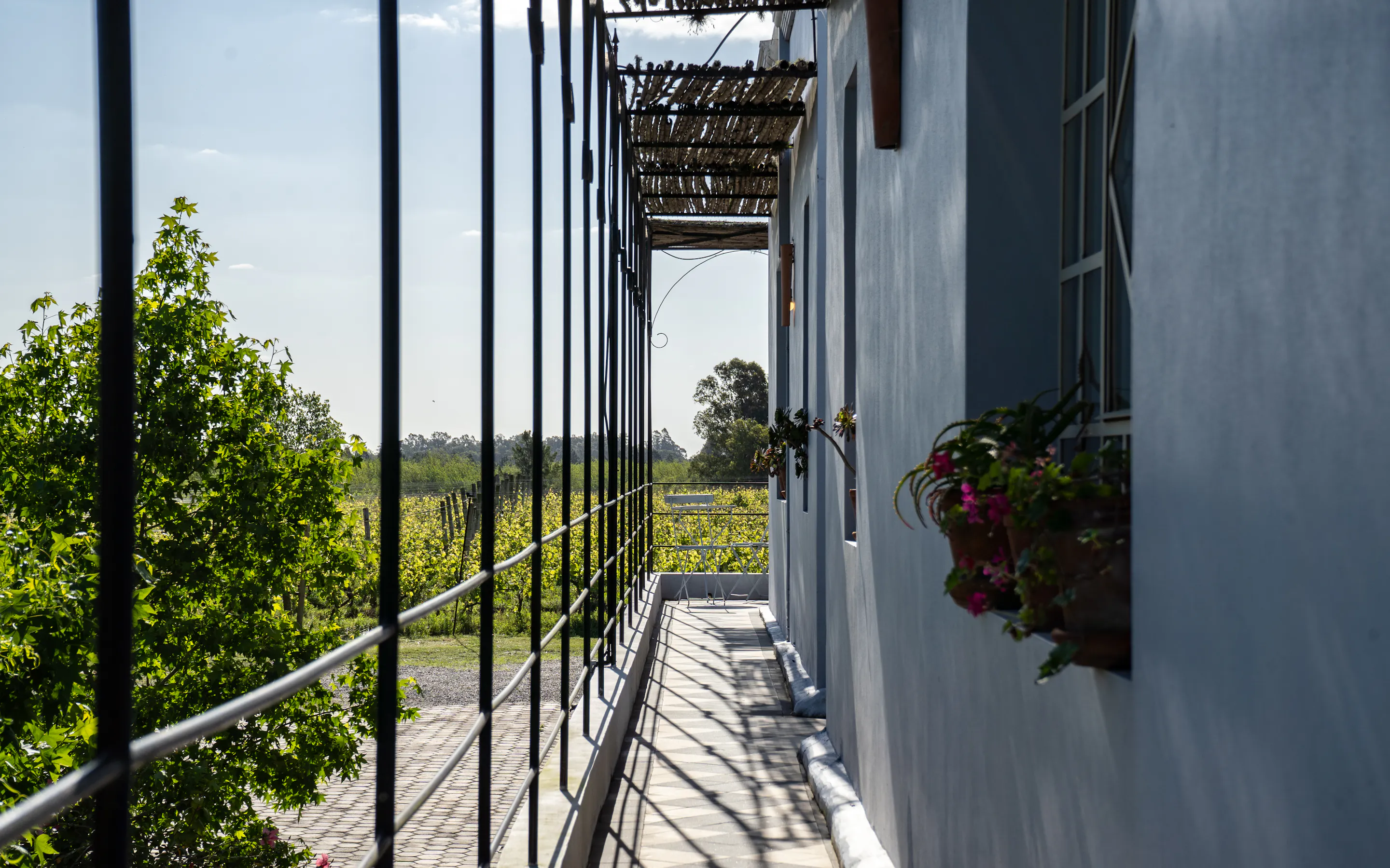 A narrow terrace beside a white lodge looks across rows of vines and open countryside in Uruguay's wine region.