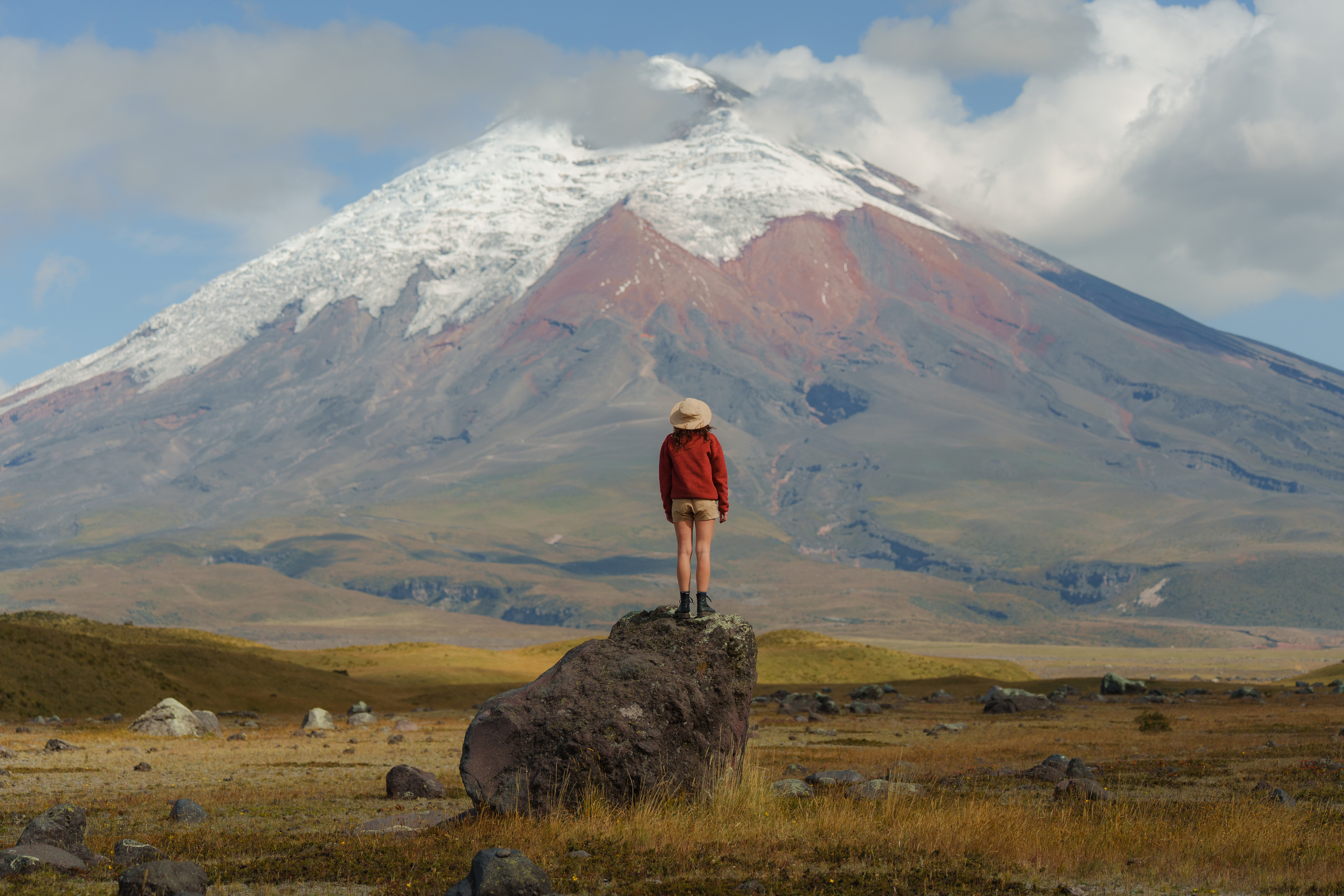 A hiker stands on a rock before Cotopaxi's snow-capped cone, with golden grasslands stretching across the foreground.