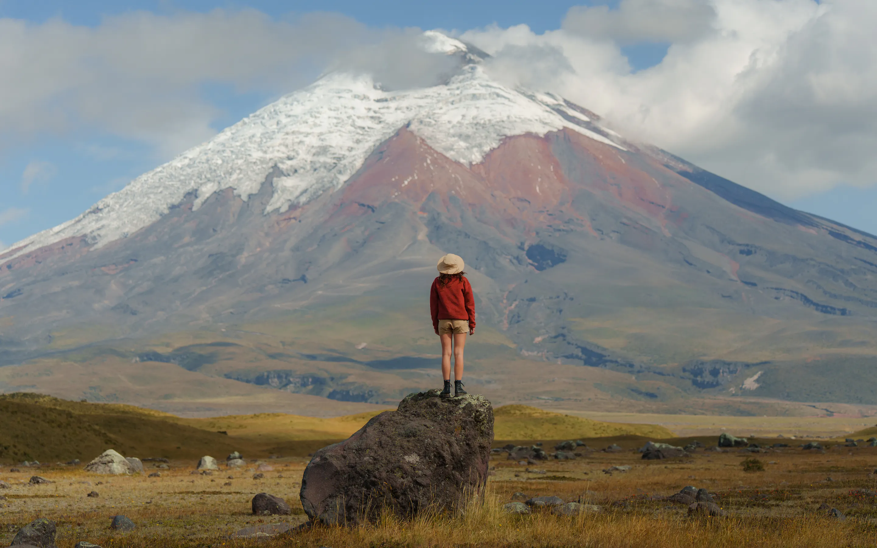 A hiker stands on a rock before Cotopaxi's snow-capped cone, with golden grasslands stretching across the foreground.