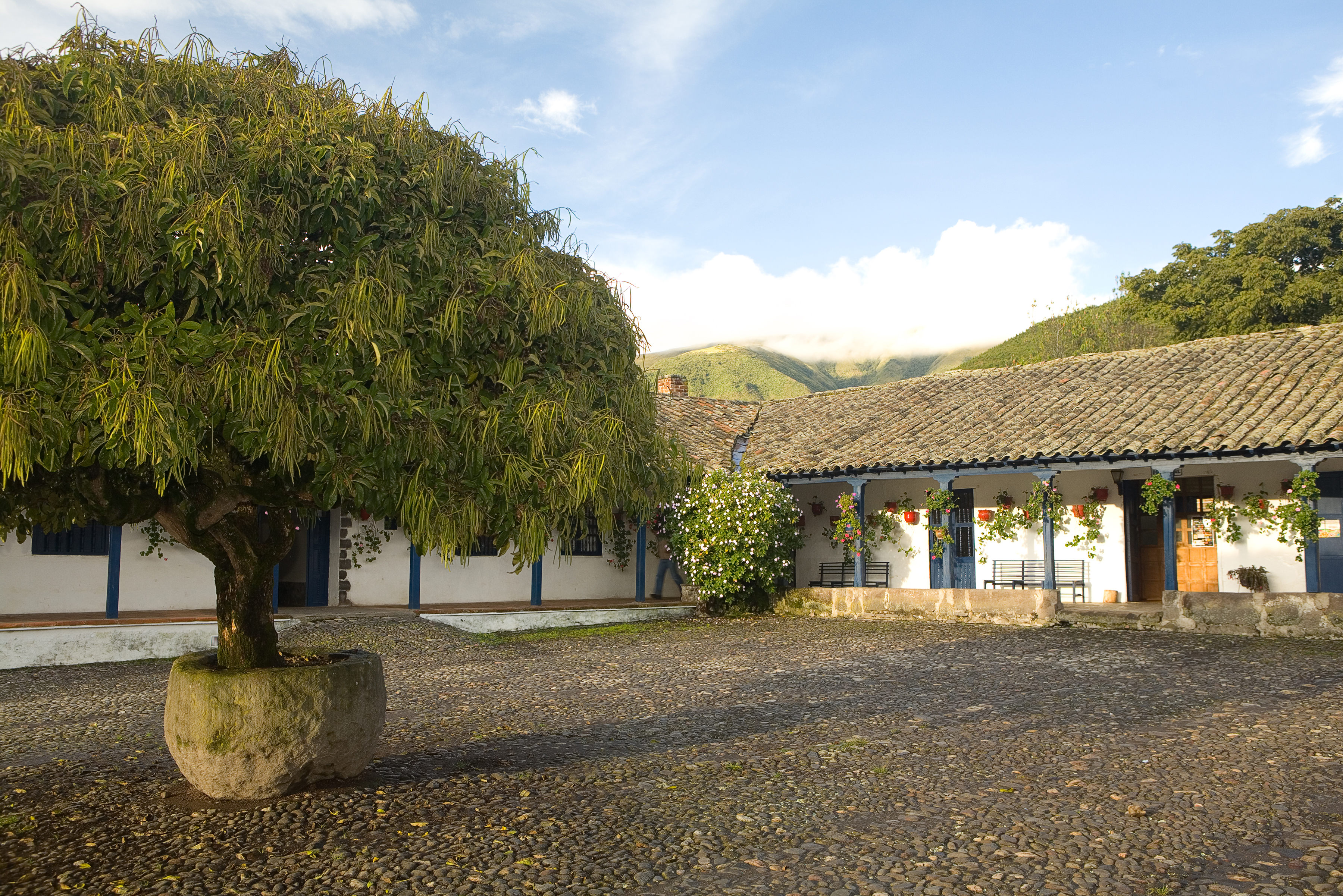 A white hacienda courtyard sits beneath old trees and Andean hills at Hacienda Zuleta in Ecuador's highlands.