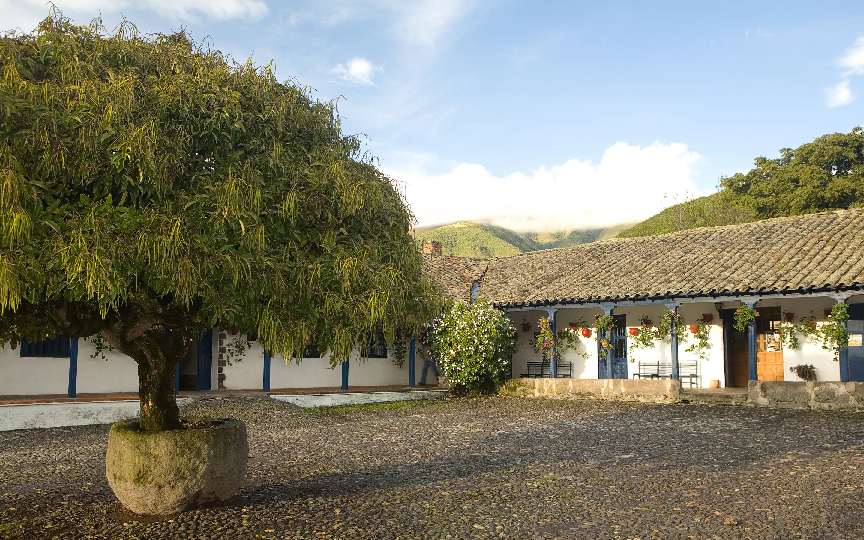 A white hacienda courtyard sits beneath old trees and Andean hills at Hacienda Zuleta in Ecuador's highlands.