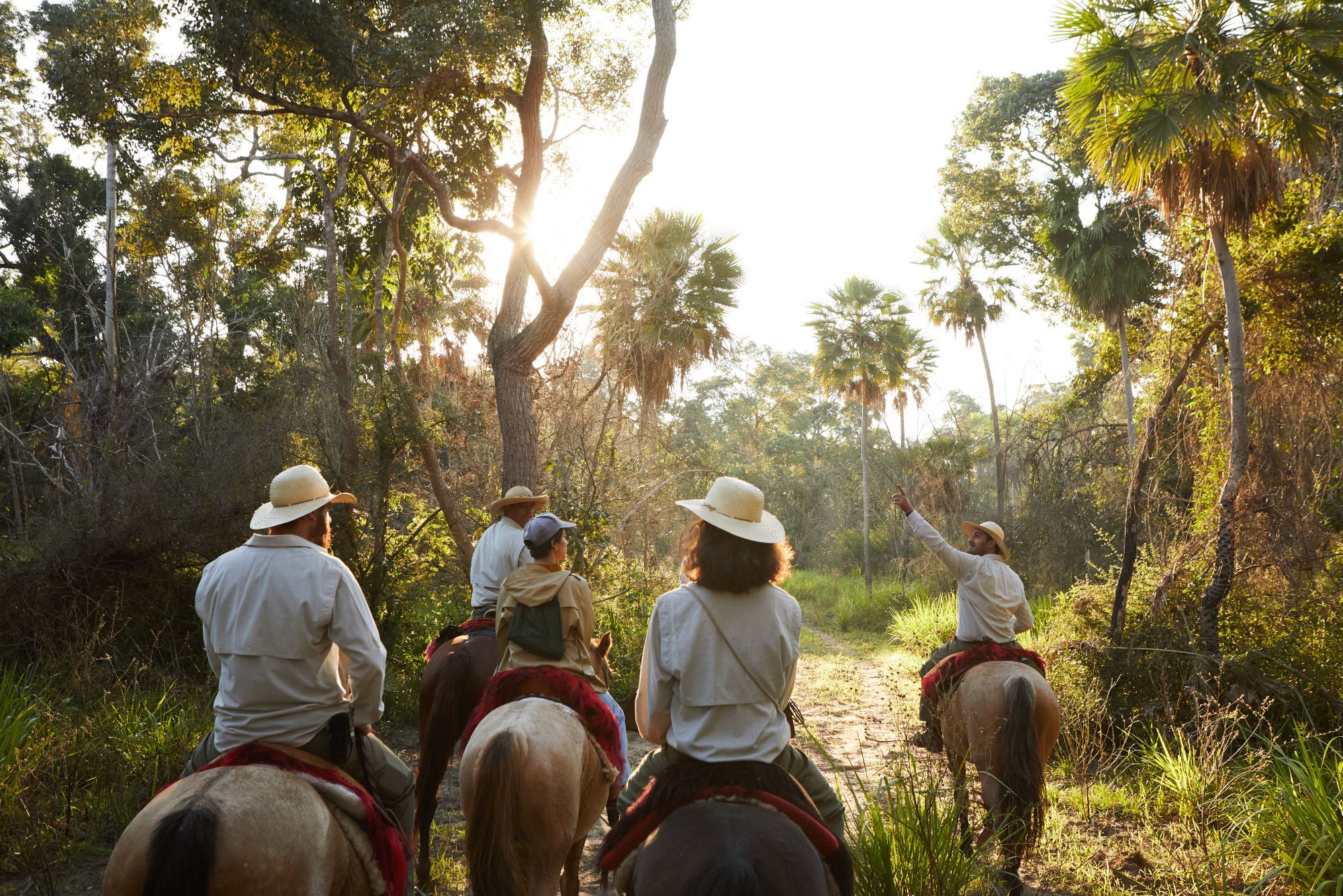 Three riders follow a flooded track beneath tall palms, exploring the Pantanal on horseback at golden hour.