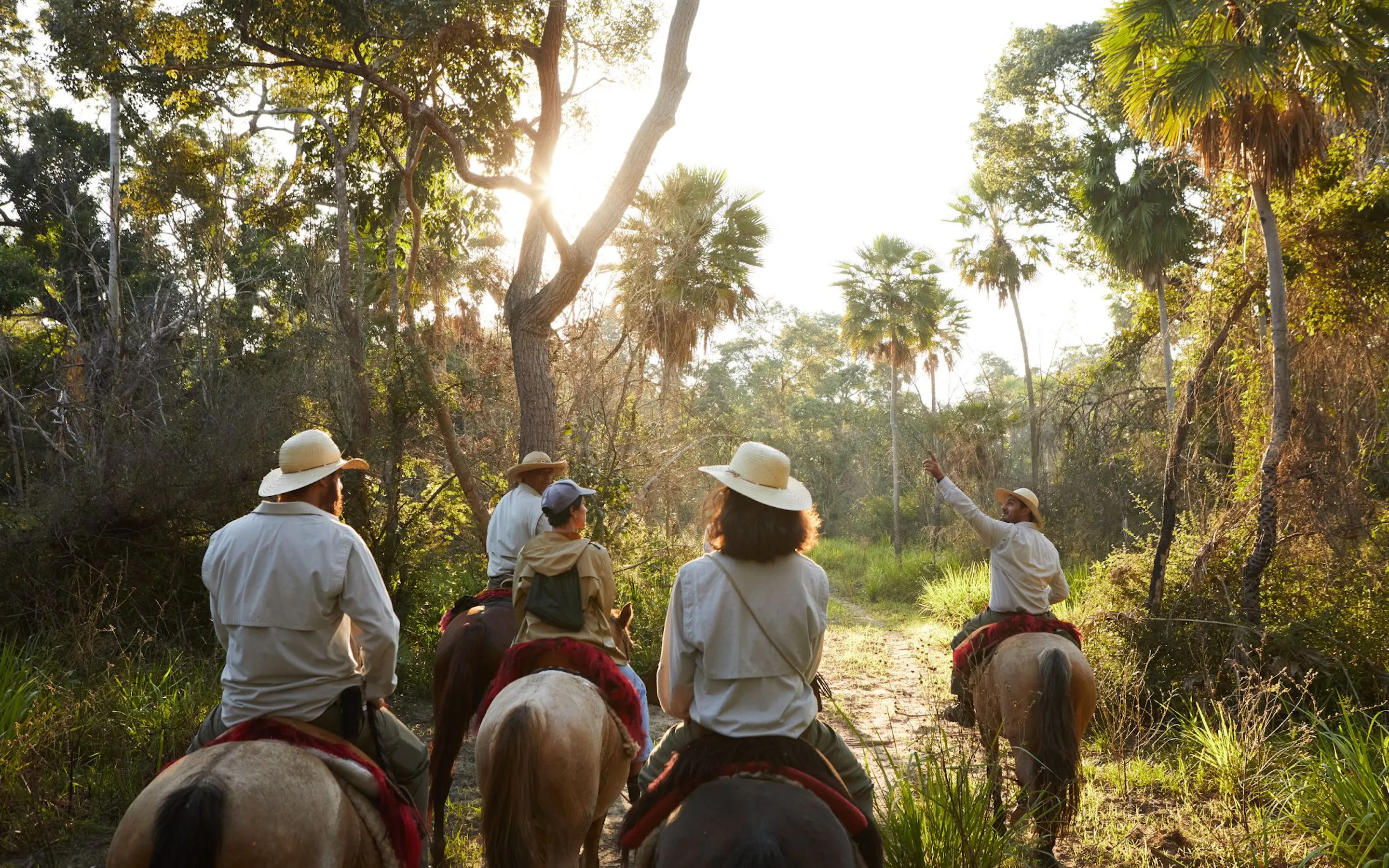Three riders follow a flooded track beneath tall palms, exploring the Pantanal on horseback at golden hour.