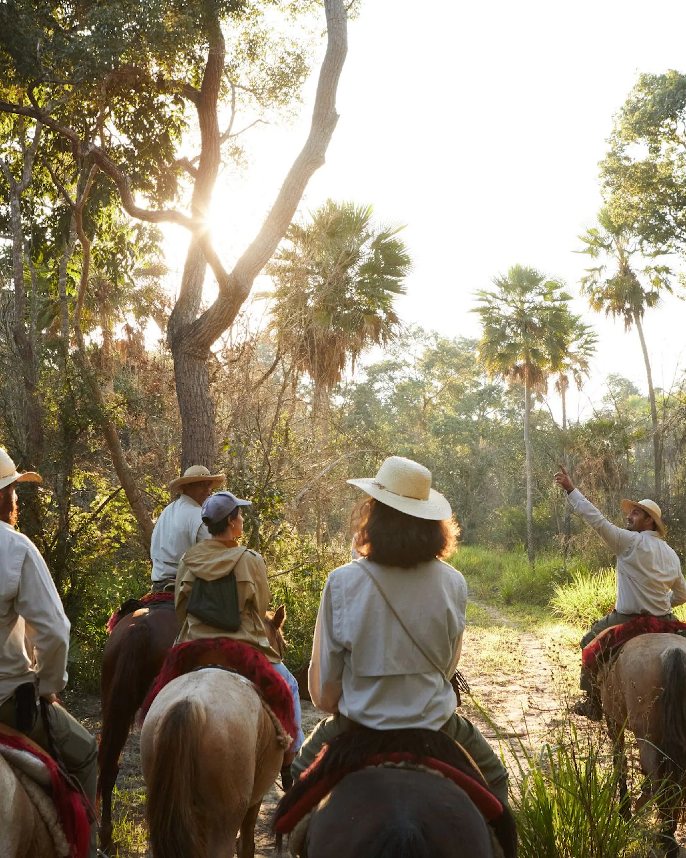 Three riders follow a flooded track beneath tall palms, exploring the Pantanal on horseback at golden hour.