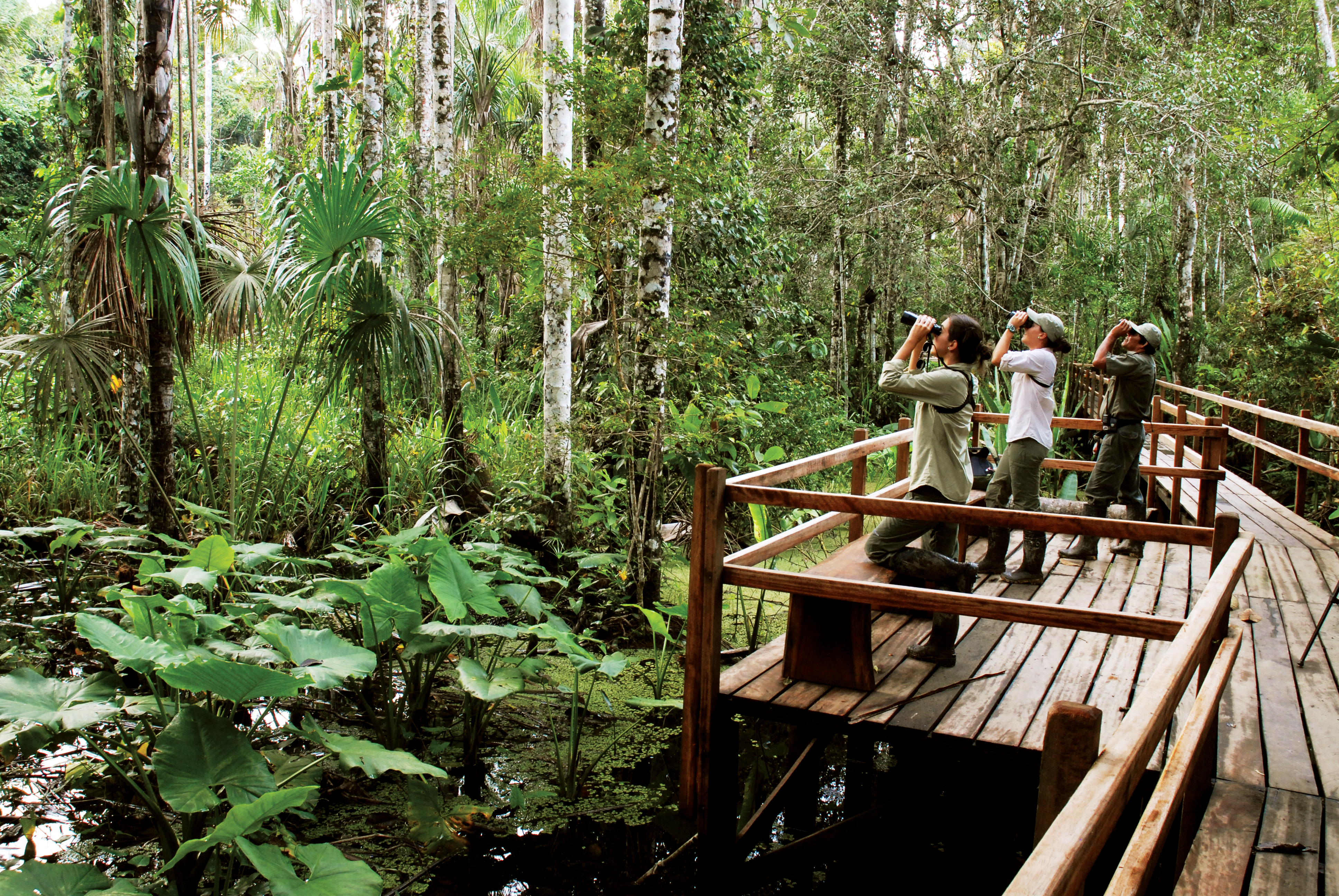 Three guests pause on a wooden walkway above the rainforest understory at Inkaterra Reserva Amazonica in Peru.