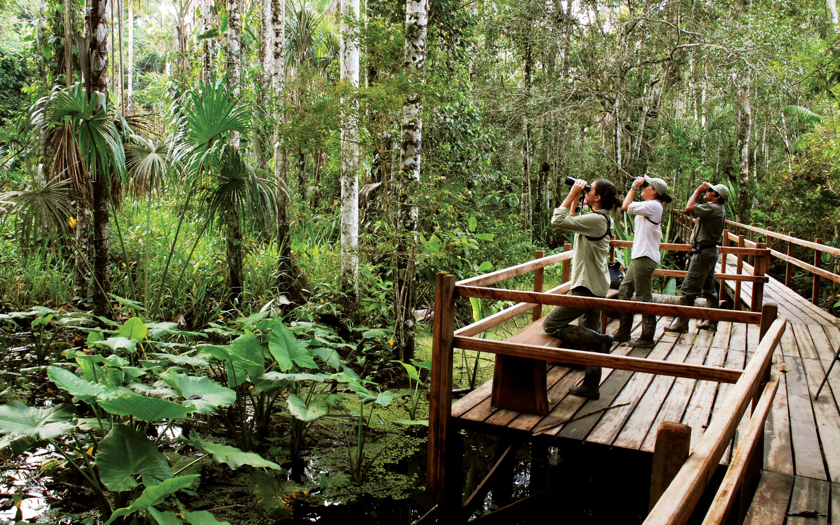 Three guests pause on a wooden walkway above the rainforest understory at Inkaterra Reserva Amazonica in Peru.
