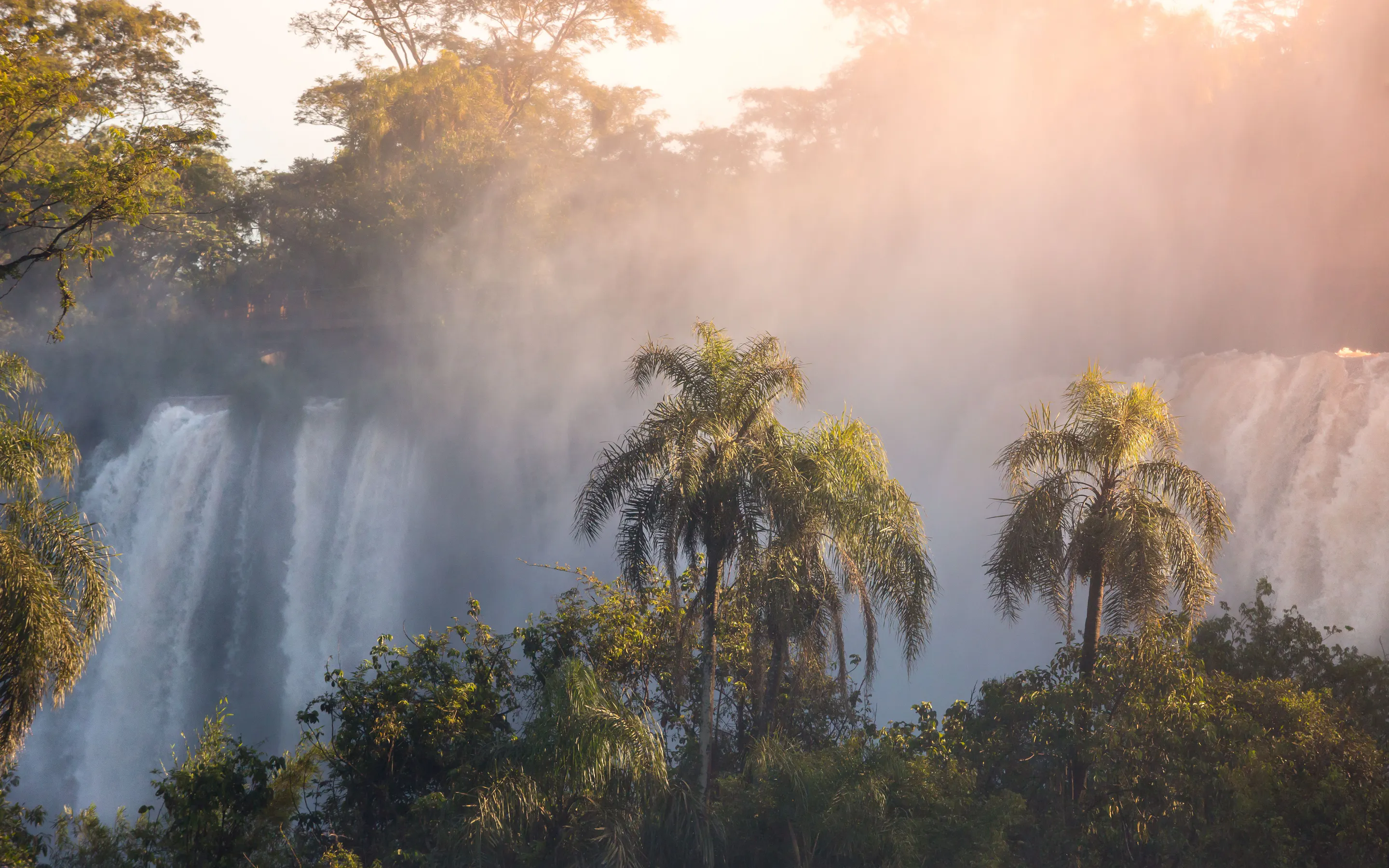 Mist rises through palm trees beside the falls, where warm sunlight catches the spray above the forest canopy.