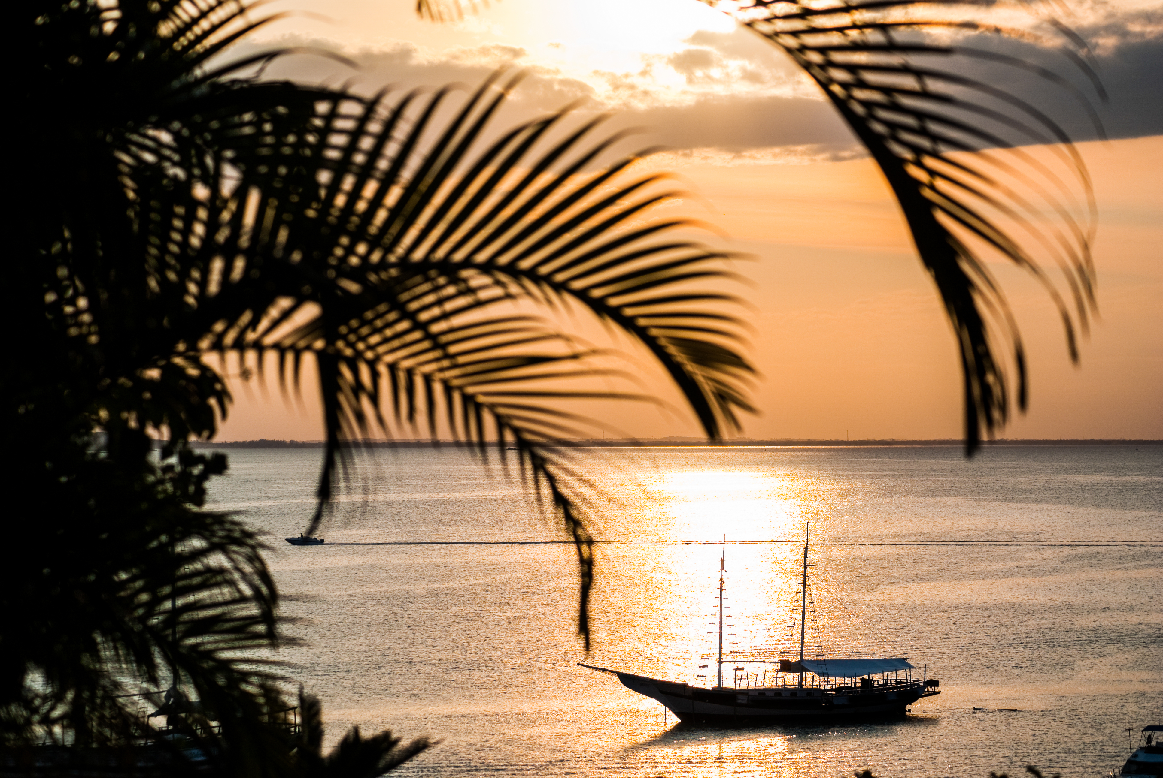 Palm fronds frame a glowing sunset over calm water, where a lone sailboat drifts offshore near Buzios at dusk.